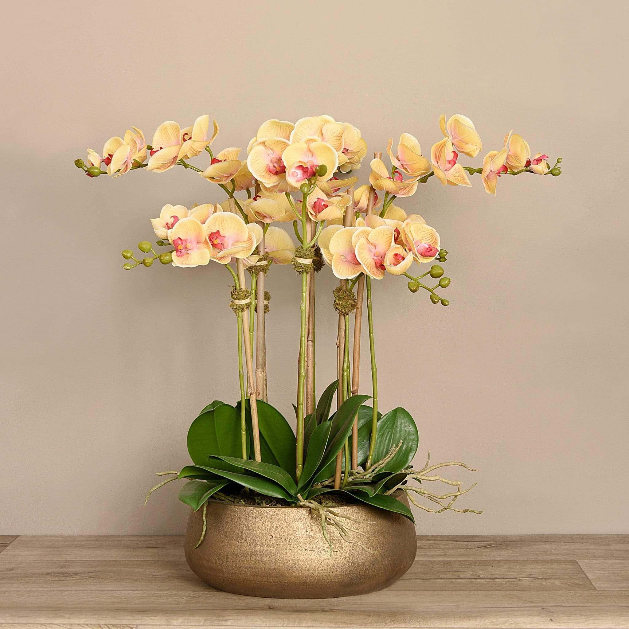 Oasis Artificial Orchids in Gold Pot - Image 11