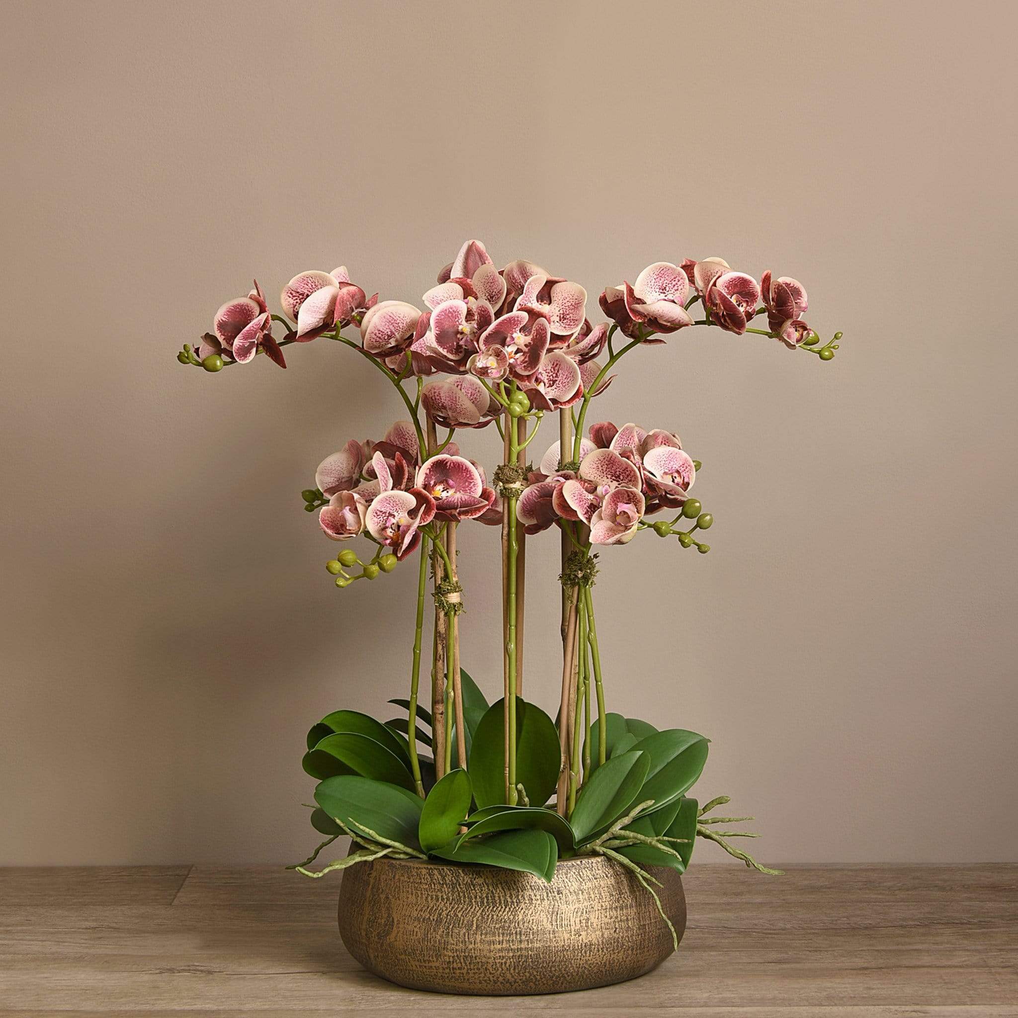 Oasis Artificial Orchids in Gold Pot - Image 14