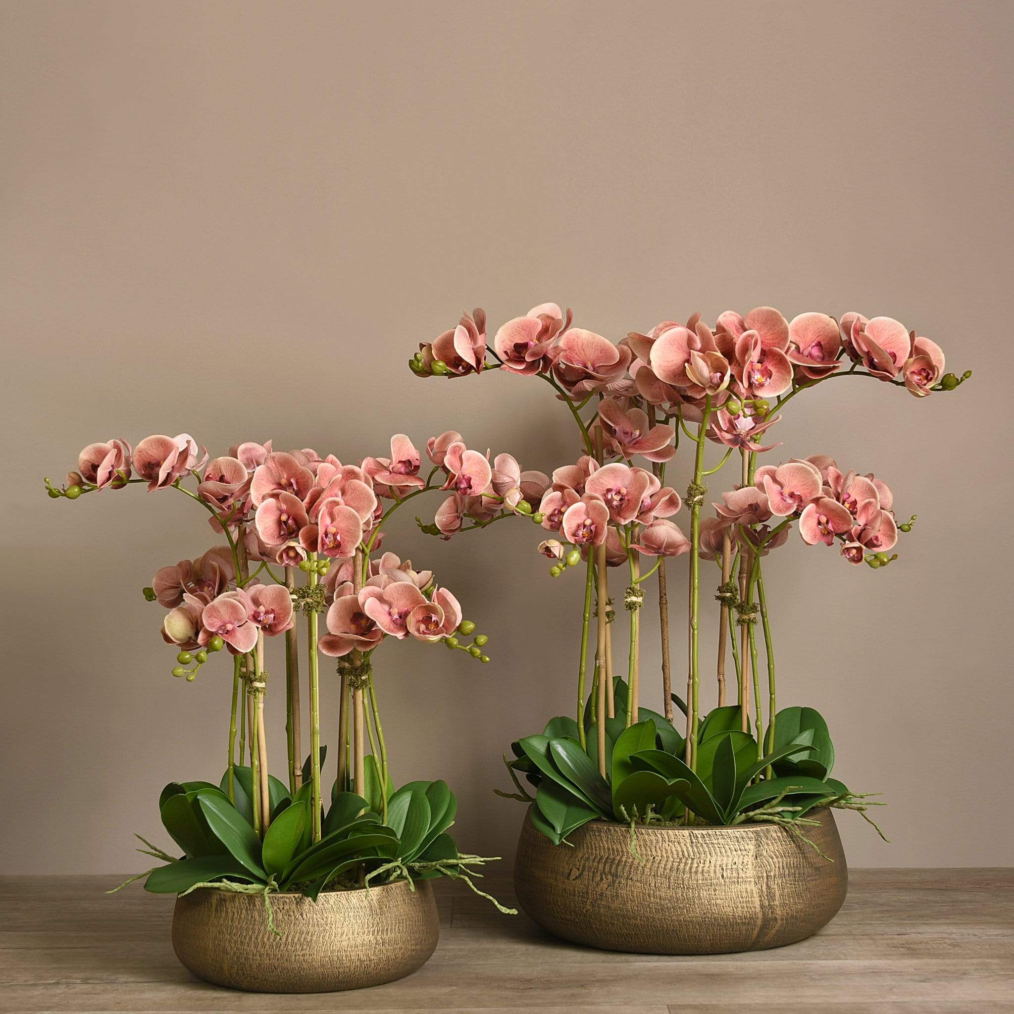 Oasis Artificial Orchids in Gold Pot - Image 4