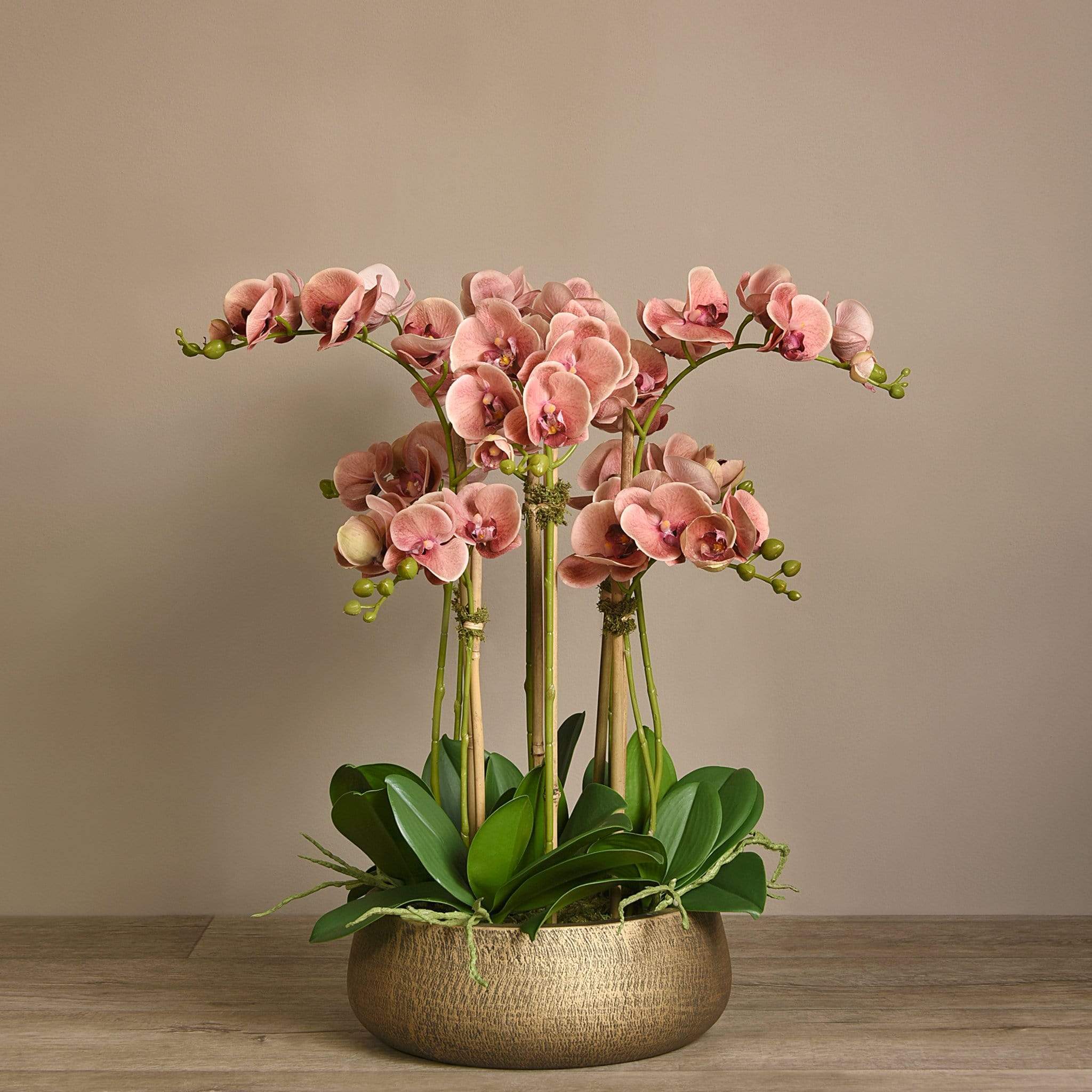 Oasis Artificial Orchids in Gold Pot - Image 5