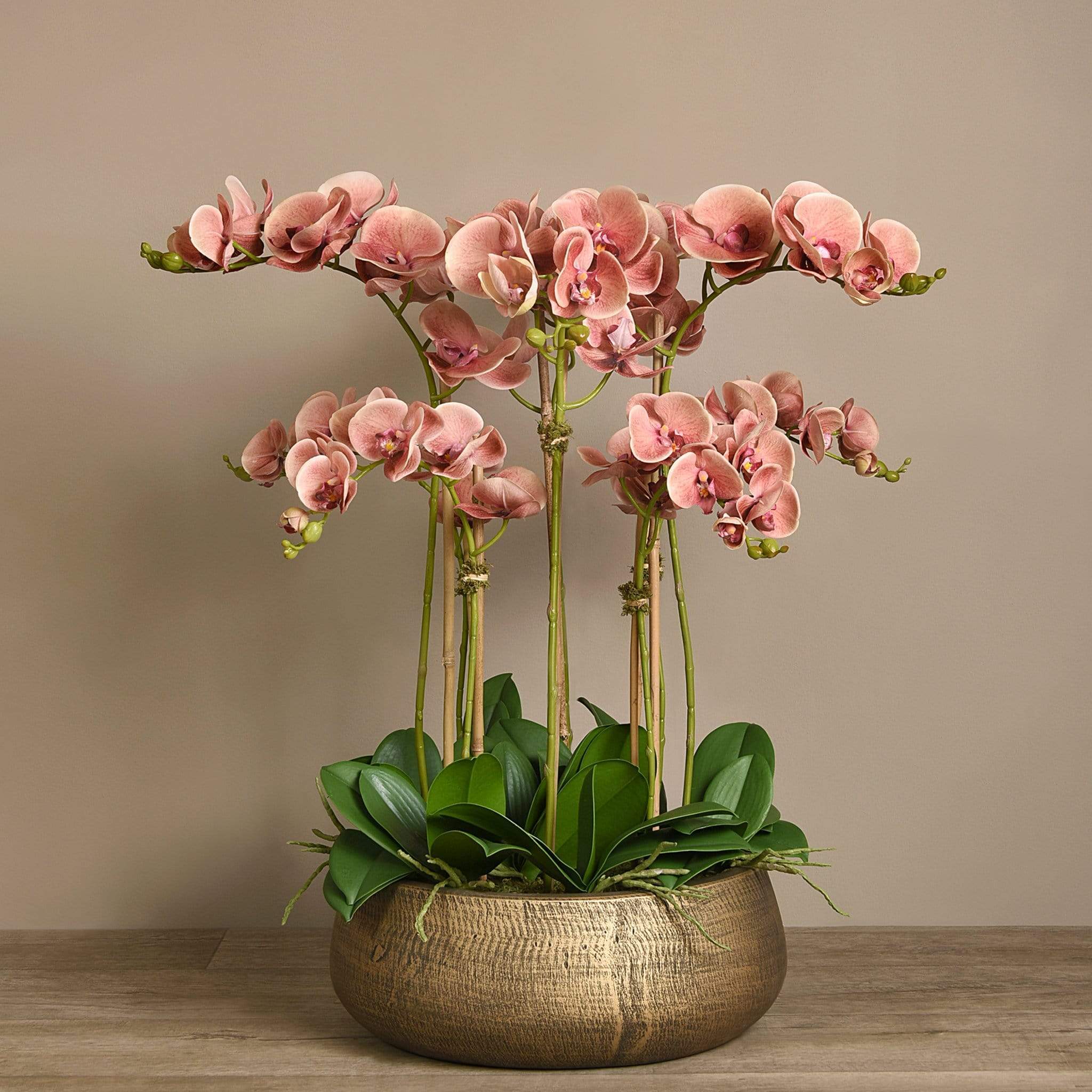 Oasis Artificial Orchids in Gold Pot - Image 6