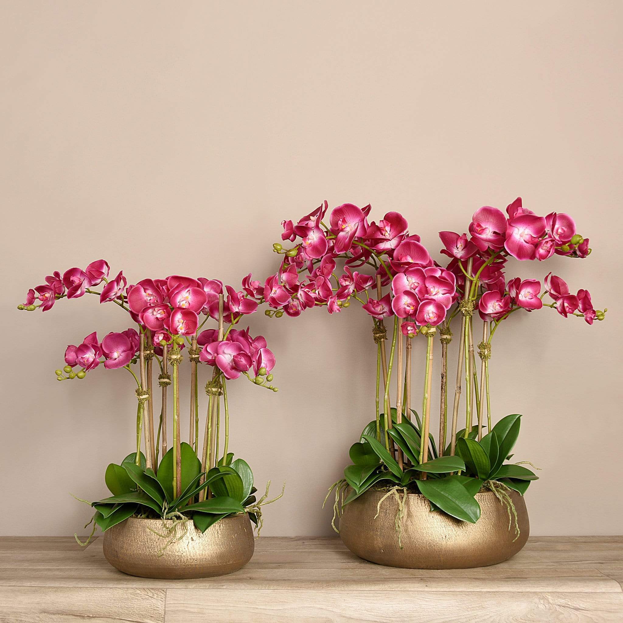 Oasis Artificial Orchids in Gold Pot - Image 7