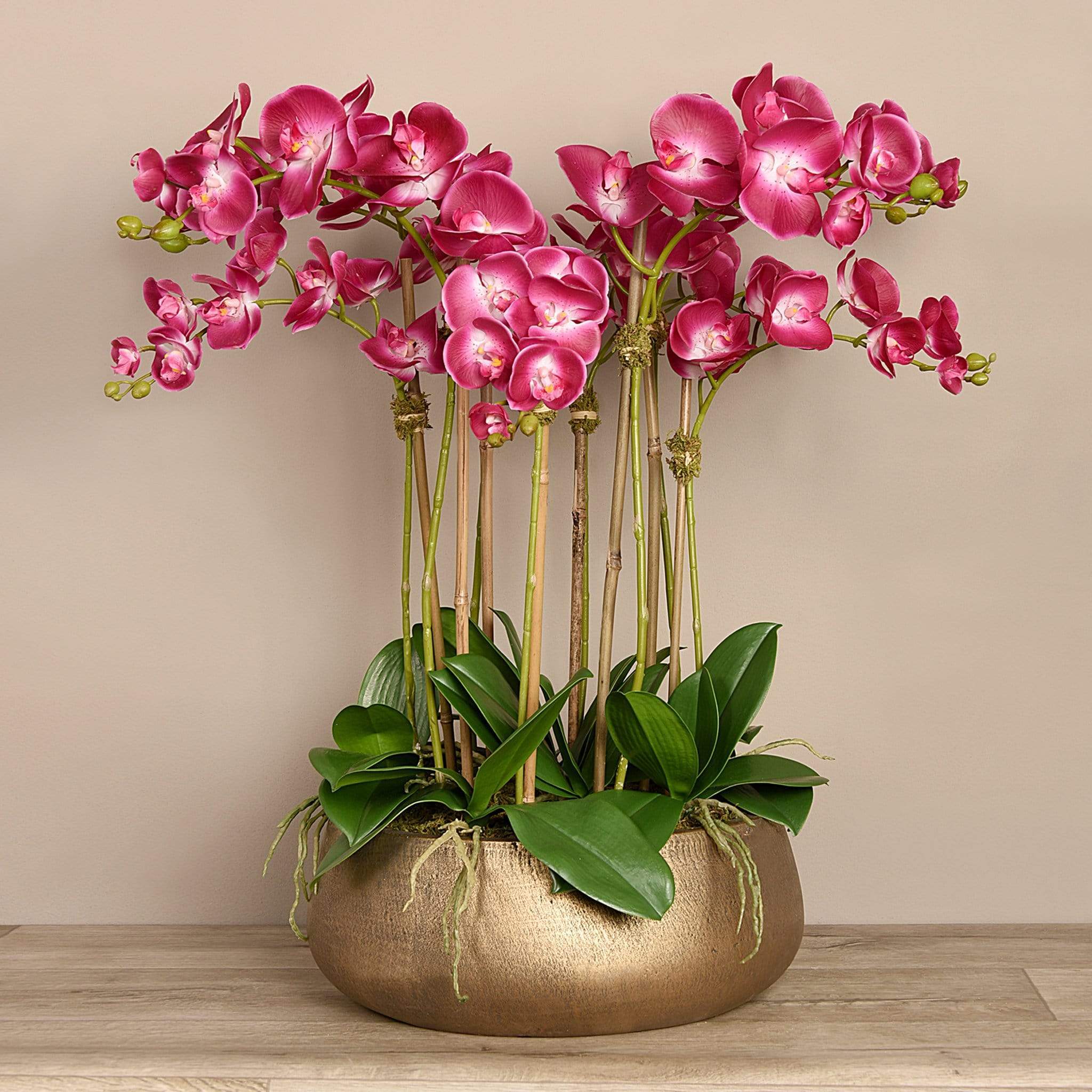 Oasis Artificial Orchids in Gold Pot - Image 9
