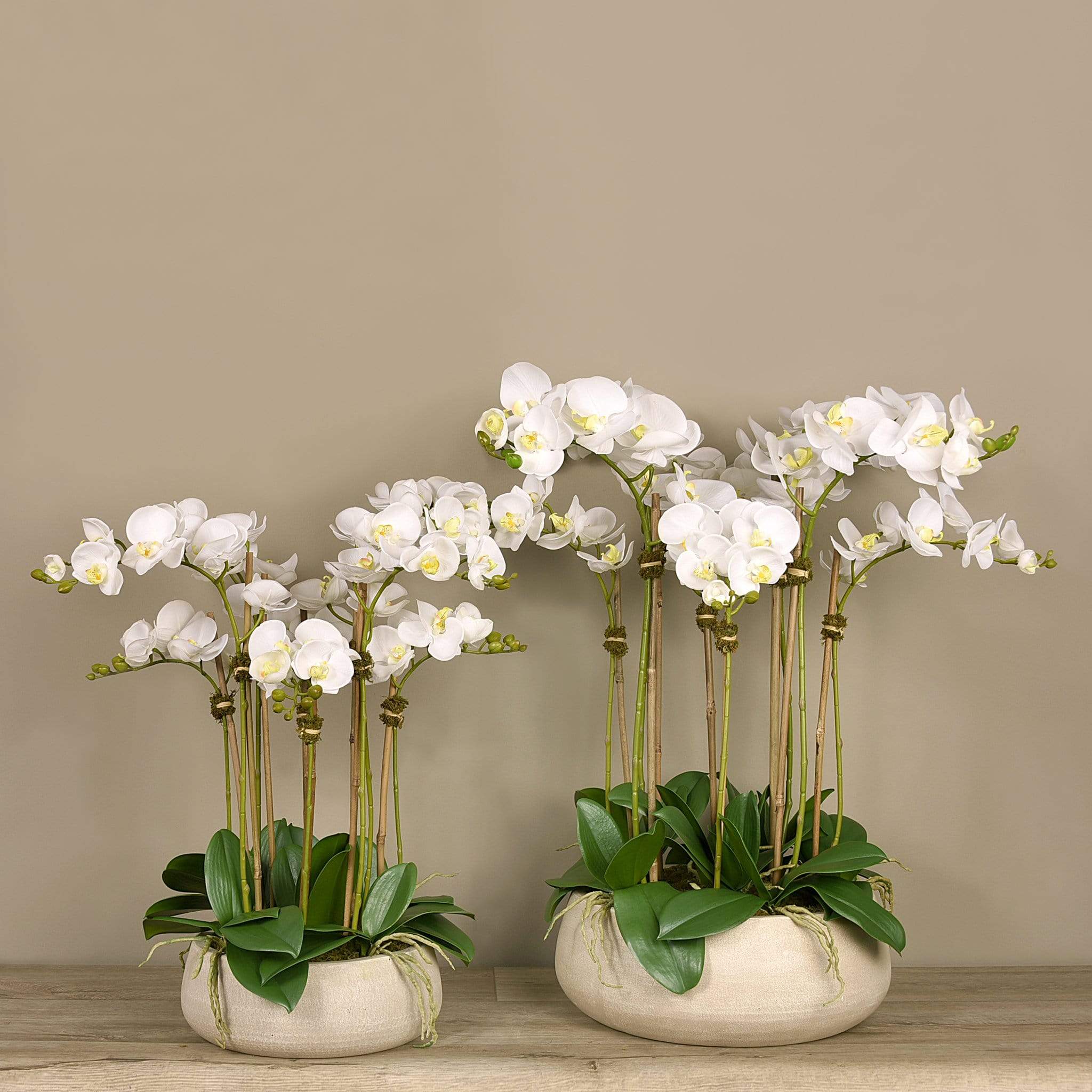Oasis Artificial Orchid Arrangement