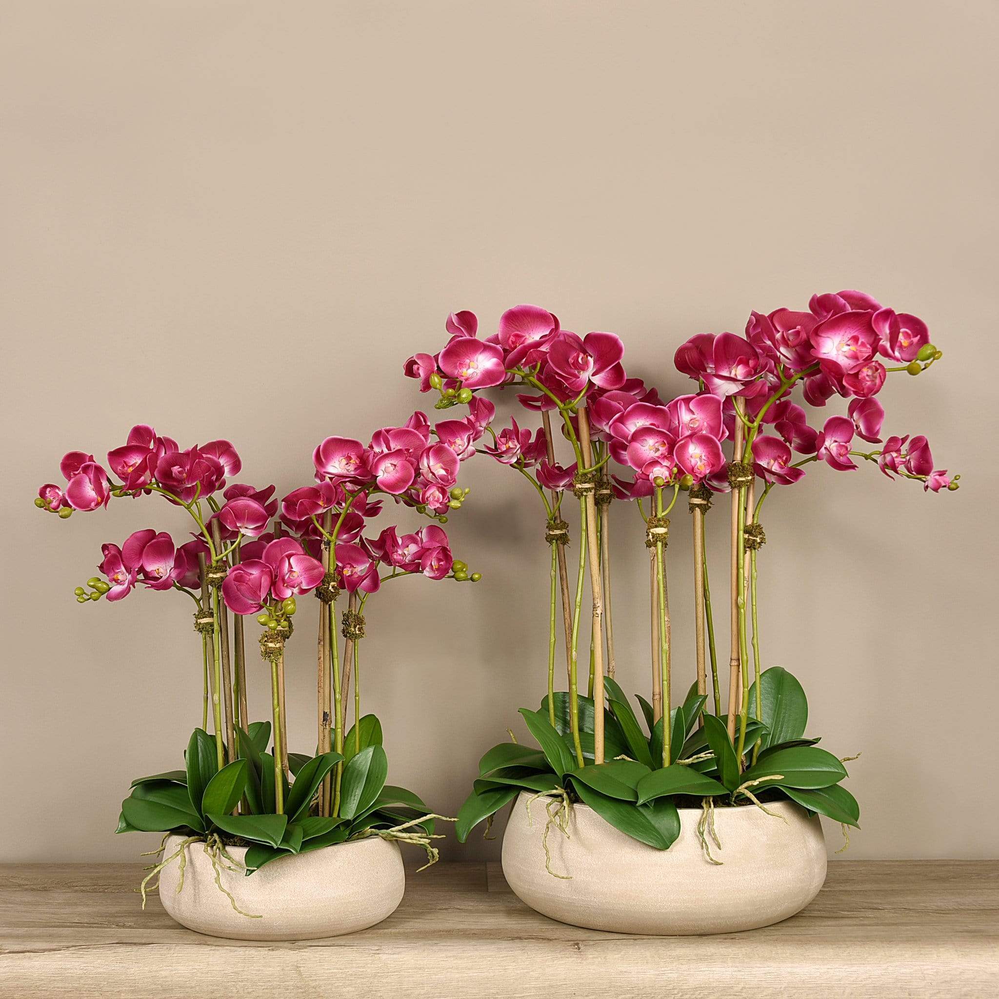 Oasis Artificial Orchid Arrangement - Image 6
