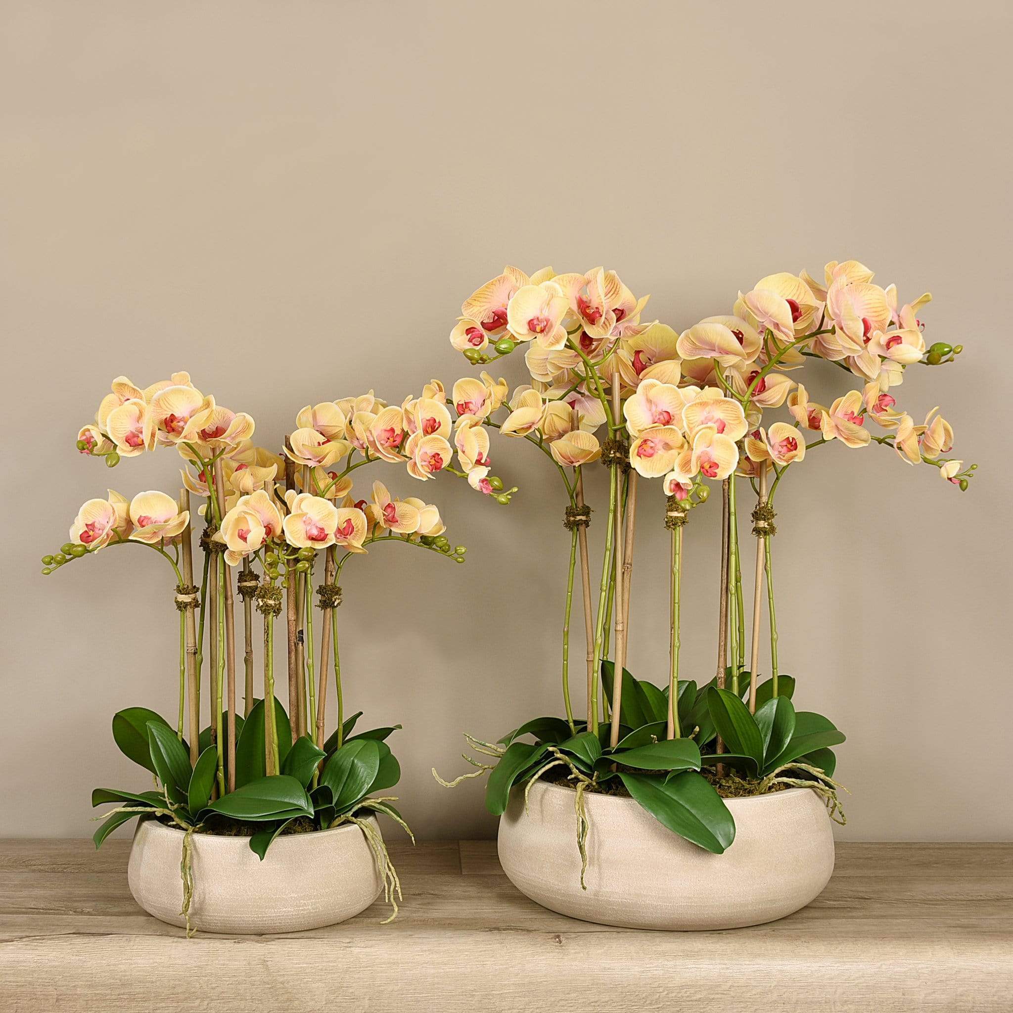 Oasis Artificial Orchid Arrangement - Image 9