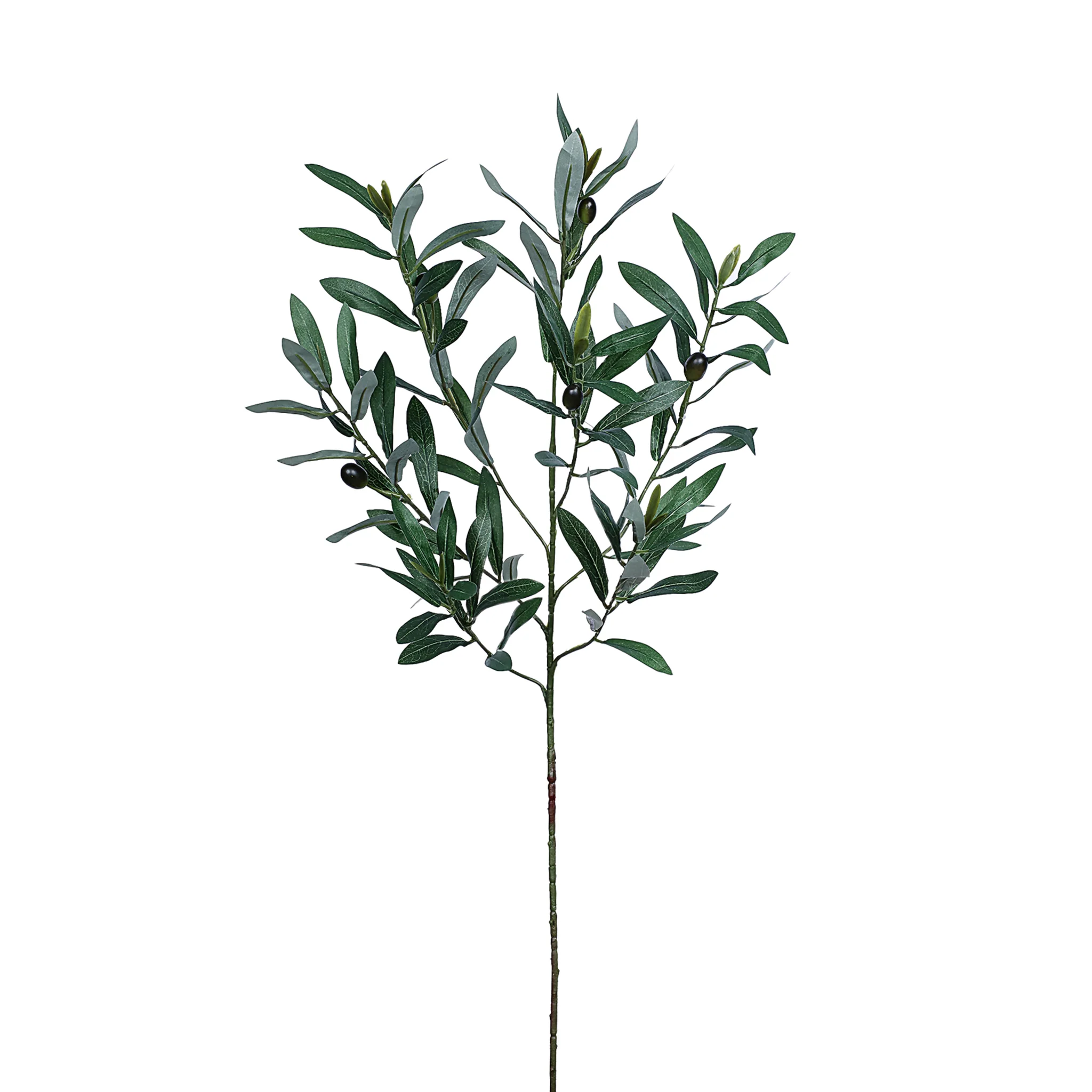 Olive Spray