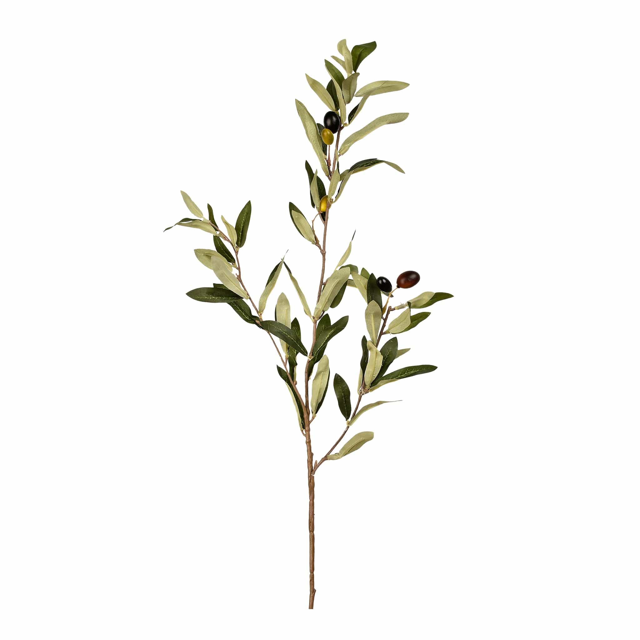 Olive Spray