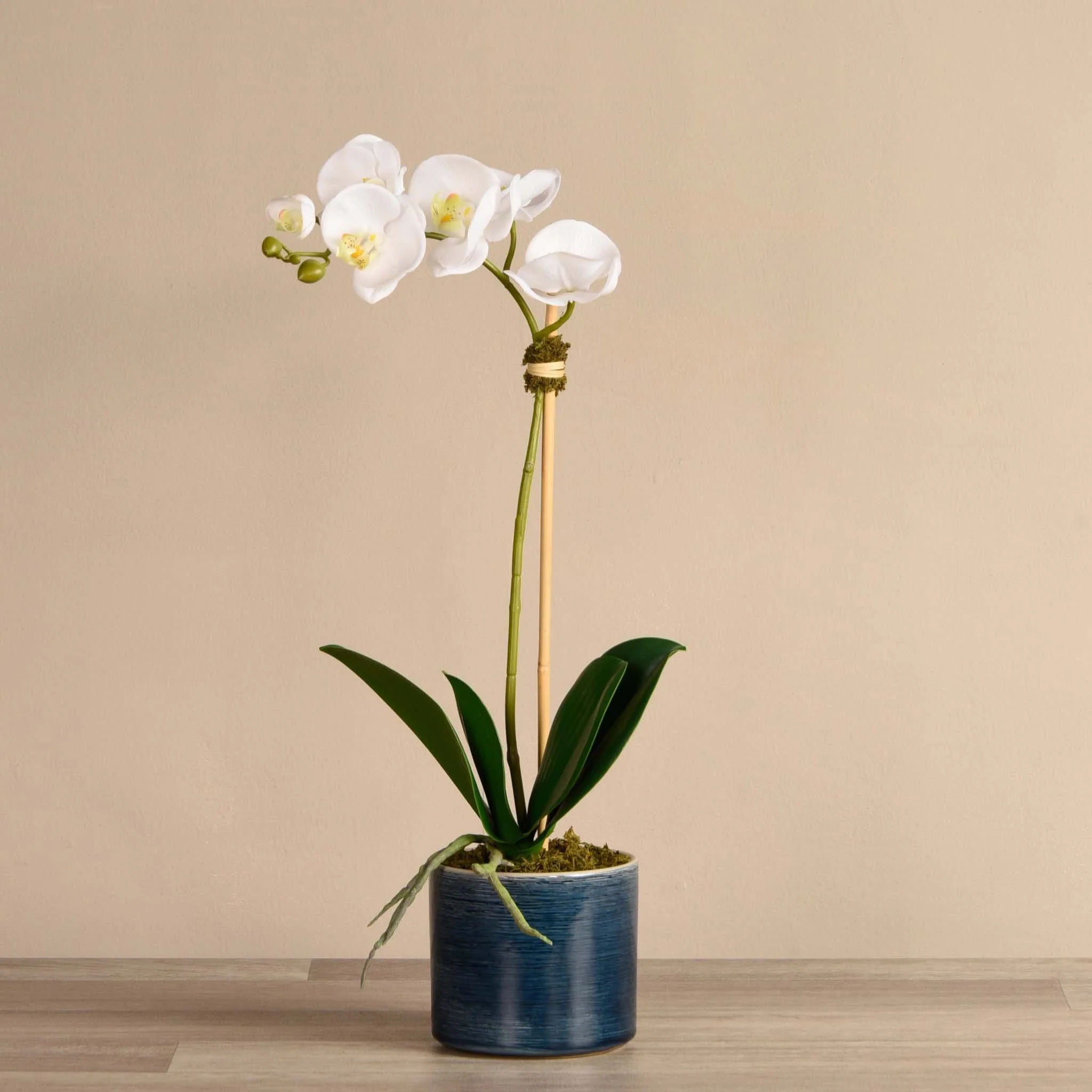 Placid Orchid Arrangement - Image 3