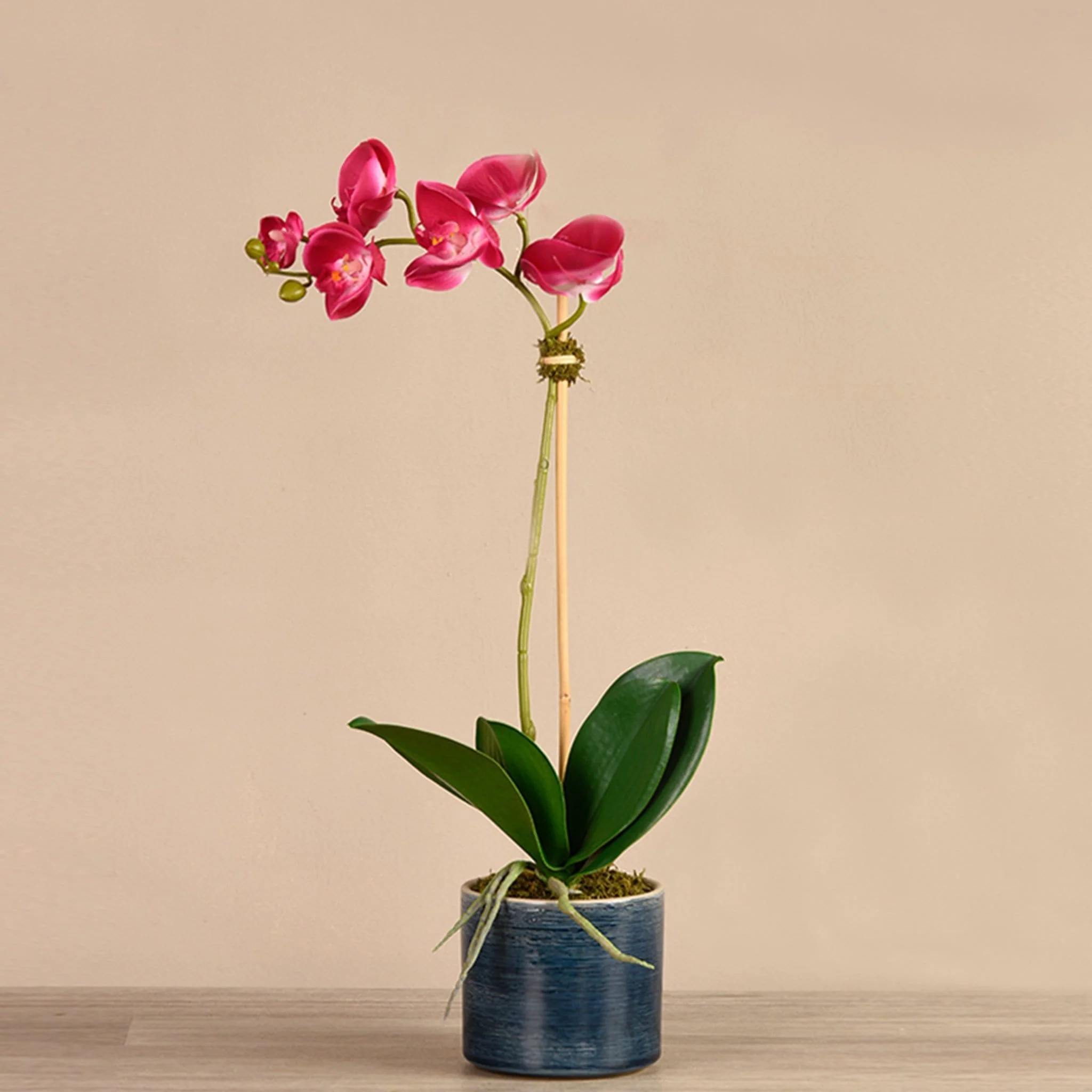Placid Orchid Arrangement - Image 4