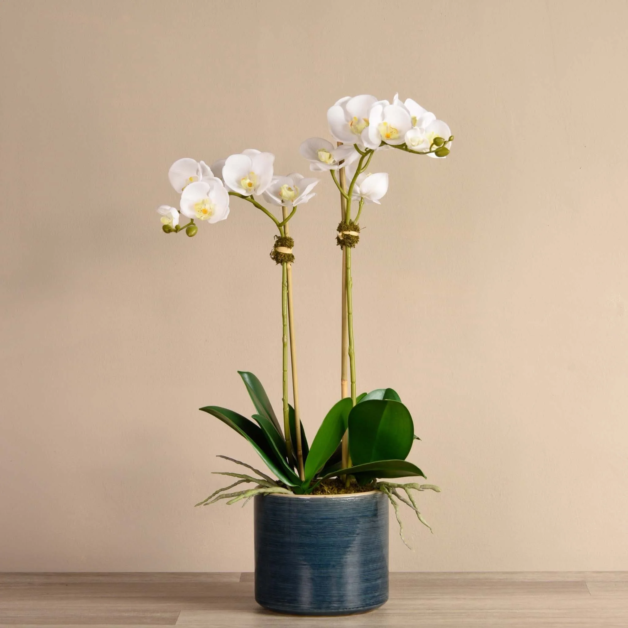 Placid Orchid Arrangement - Image 5