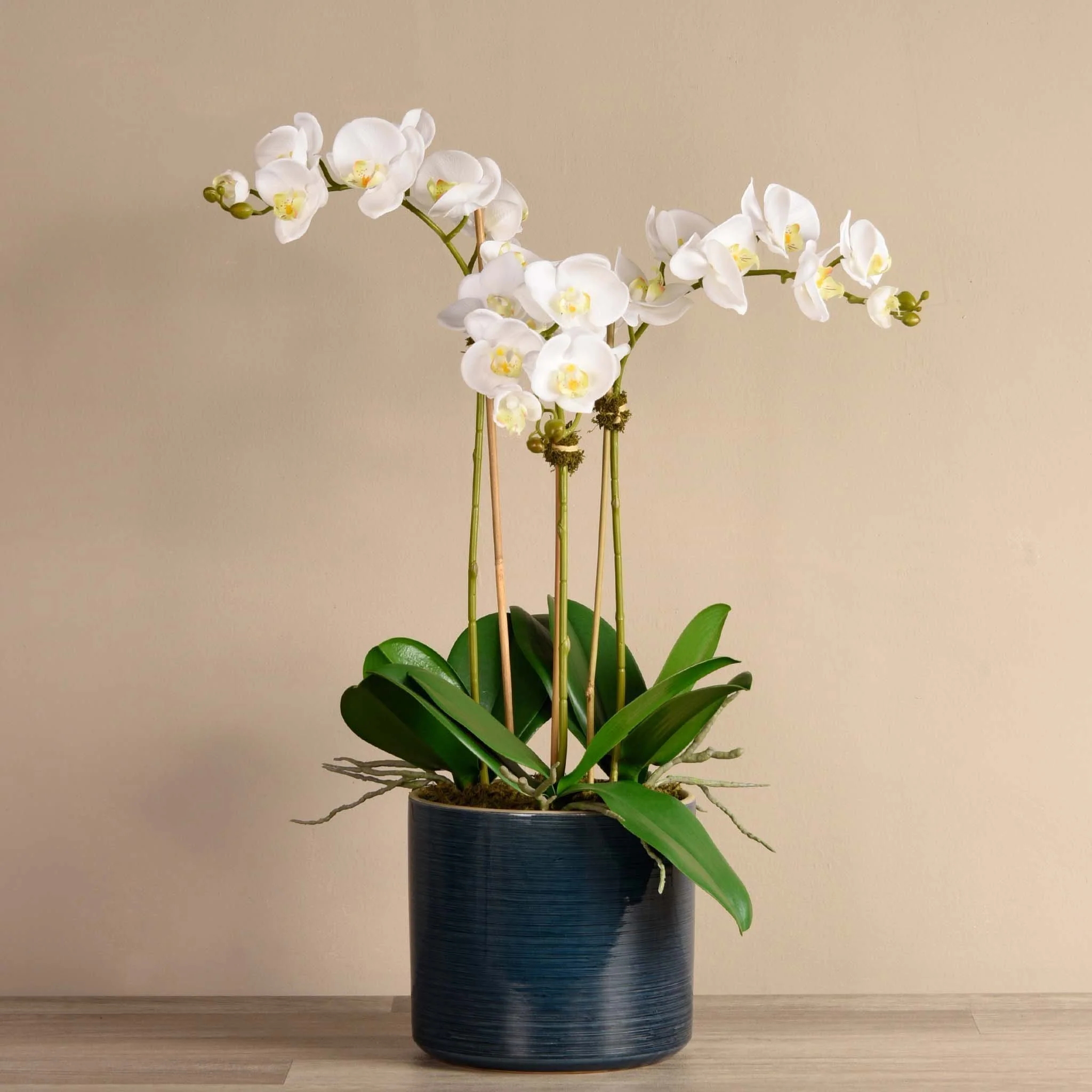 Placid Orchid Arrangement - Image 7