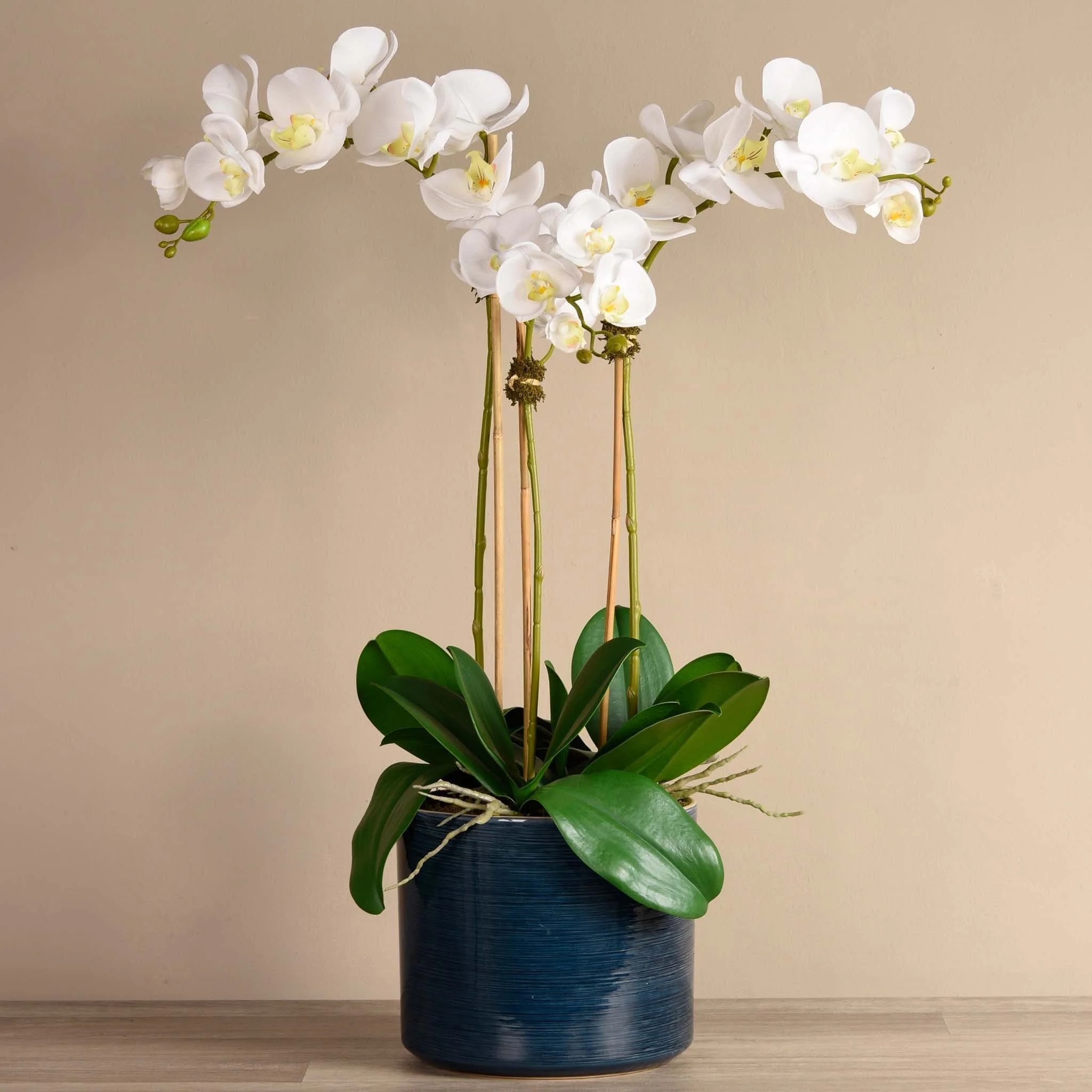 Placid Orchid Arrangement - Image 9