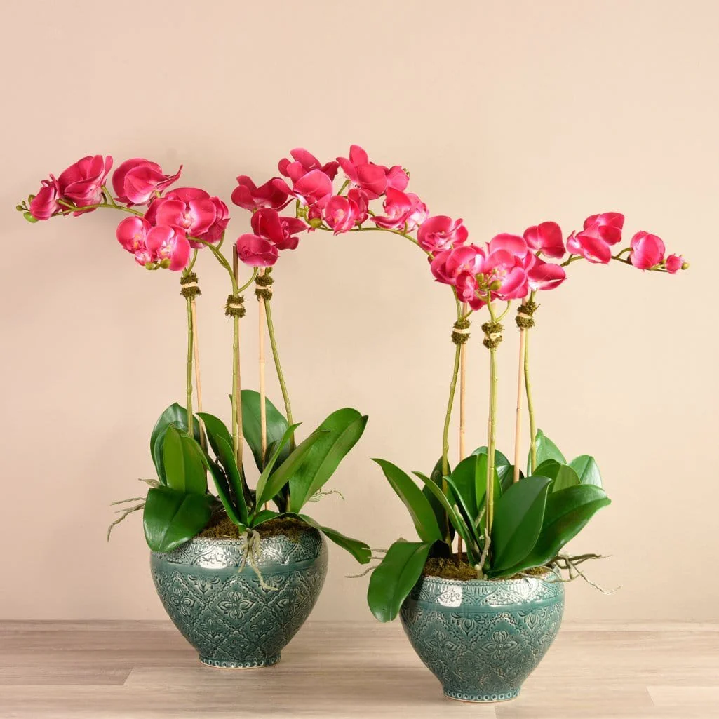Artificial Orchid Arrangement - Image 5