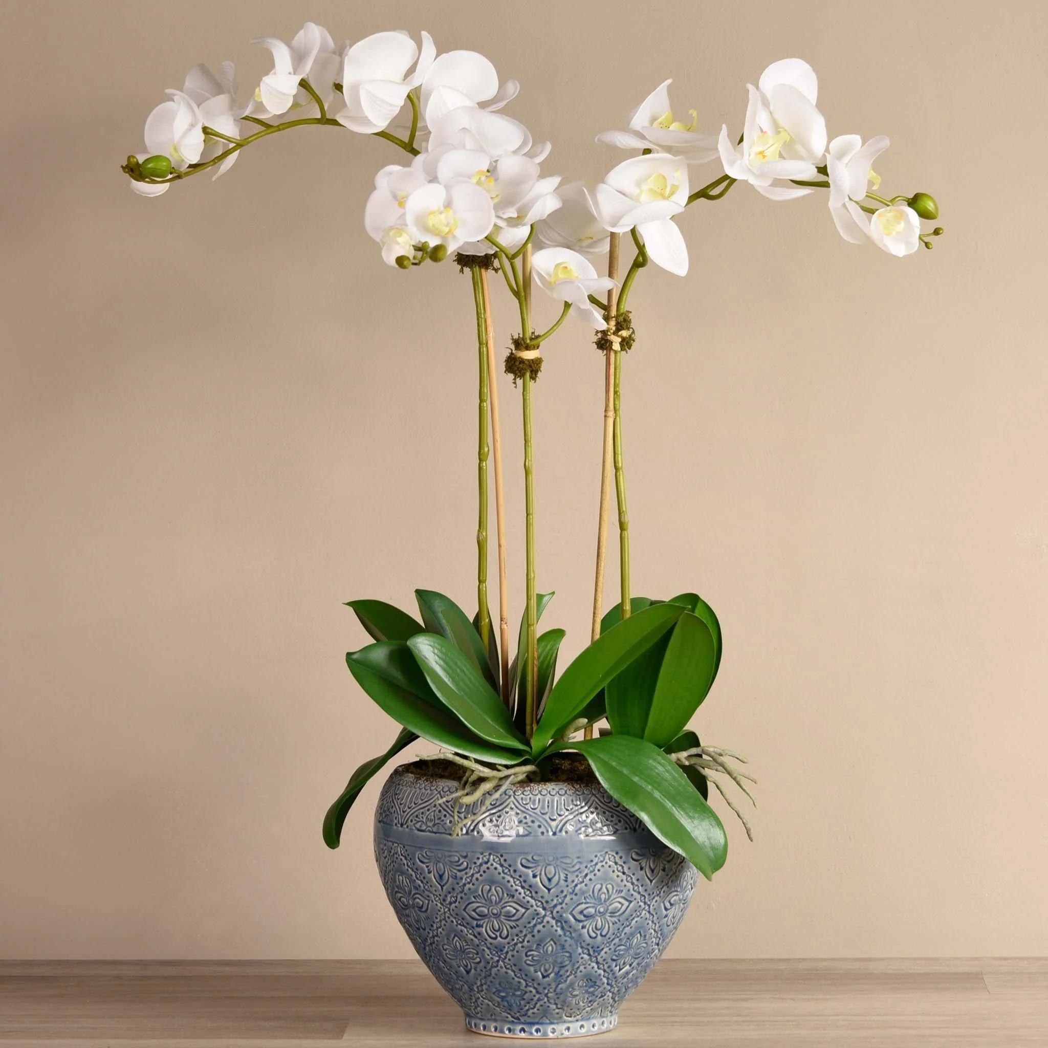 Moroccan Orchid Arrangement - Image 4
