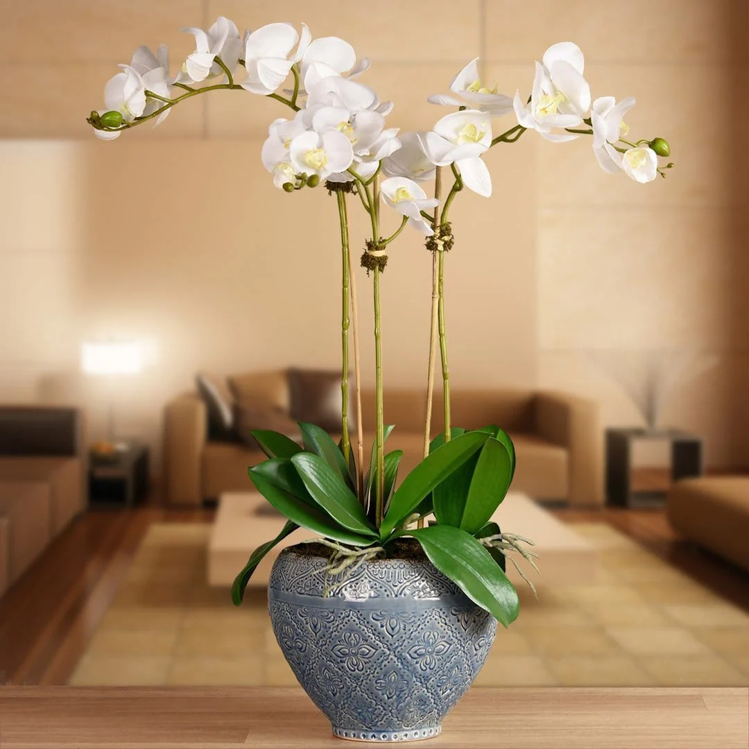Moroccan Orchid Arrangement - Image 5