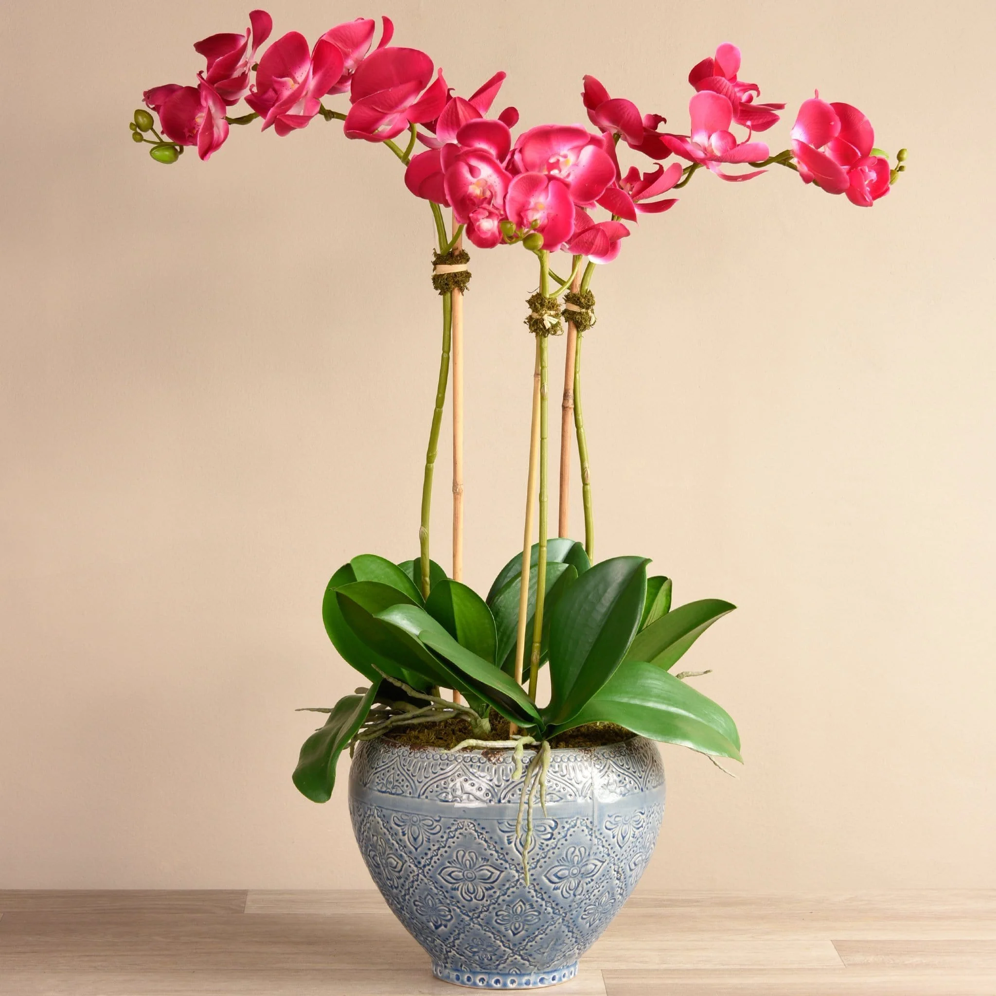 Moroccan Orchid Arrangement - Image 7