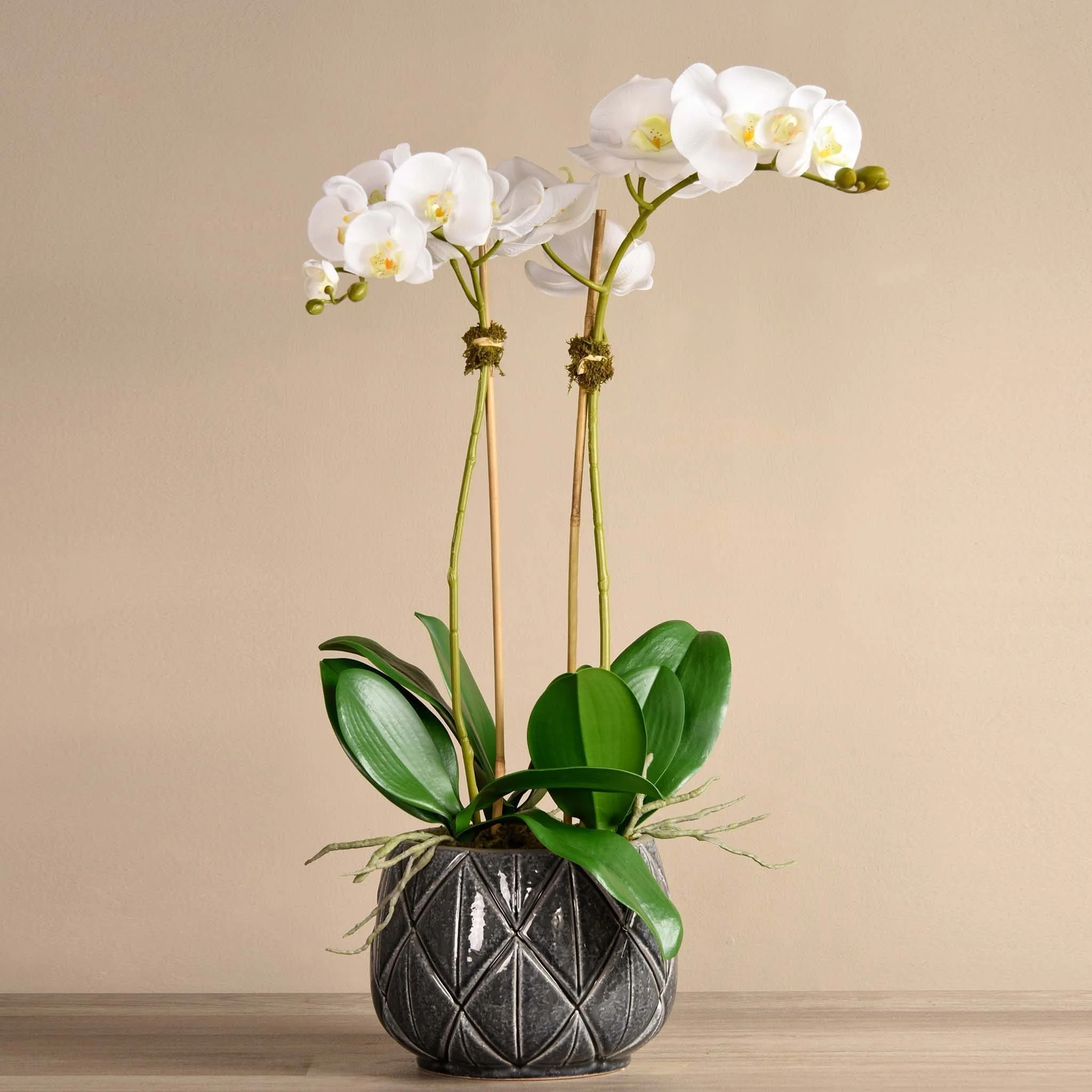 Stella Orchid Arrangement - Image 5