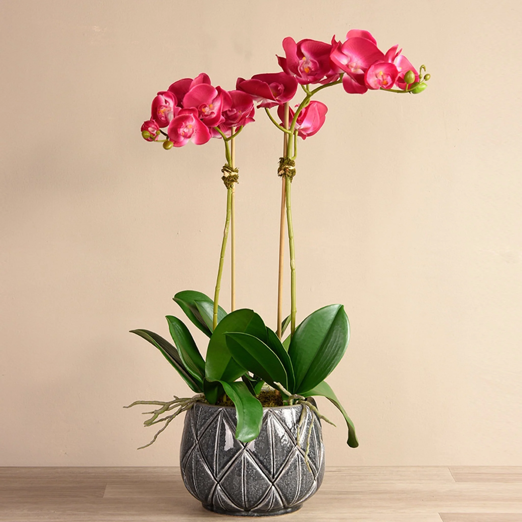Stella Orchid Arrangement - Image 6