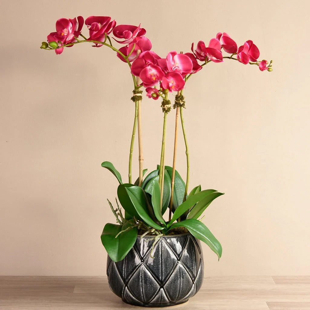 Stella Orchid Arrangement - Image 8