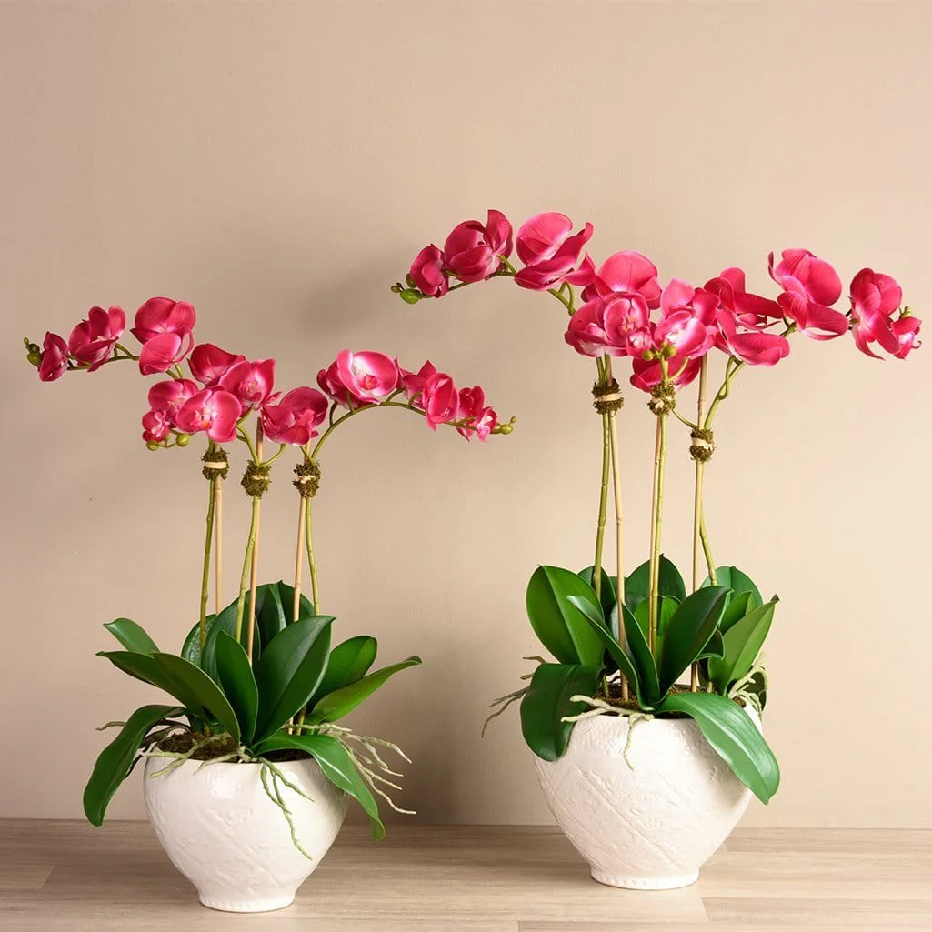 Moroccan Orchid Arrangement - Image 2