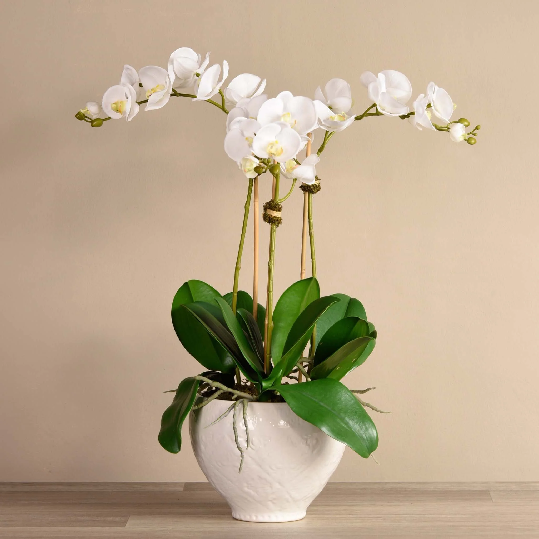 Moroccan Orchid Arrangement - Image 3