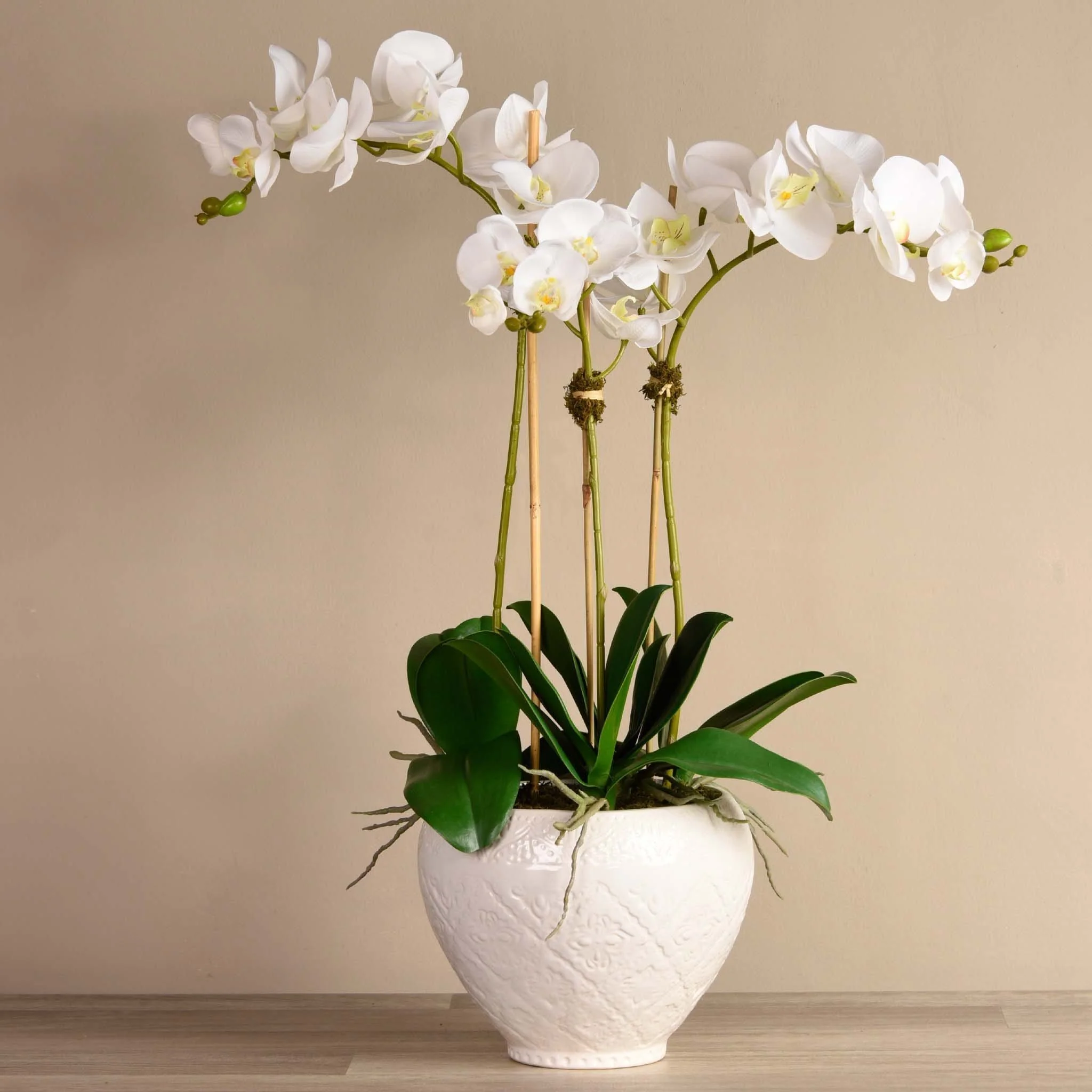 Moroccan Orchid Arrangement - Image 4