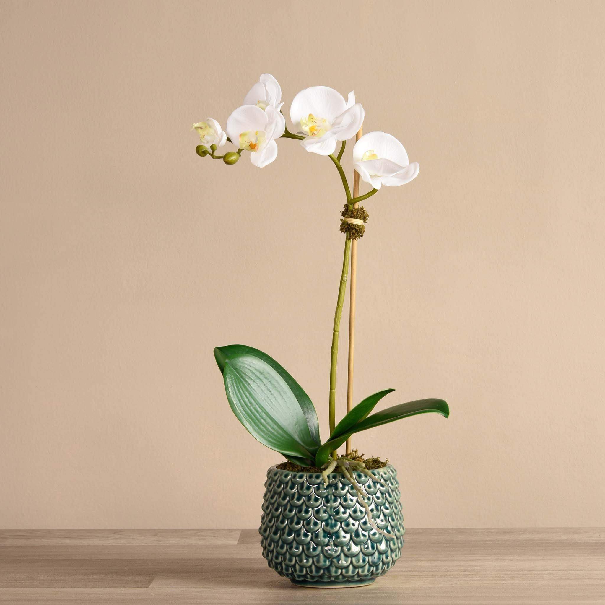 Pearl Orchid Arrangement - Image 3