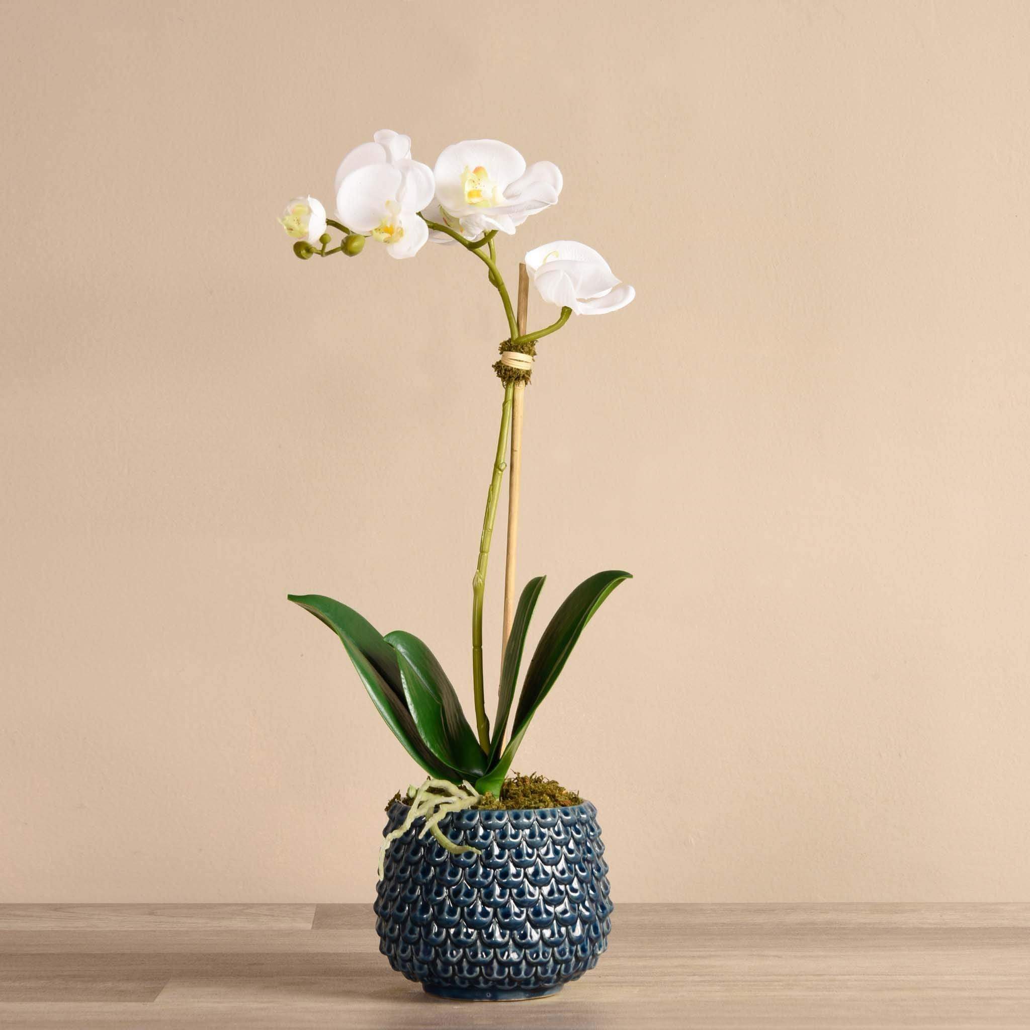 Pearl Orchid Arrangement - Image 3
