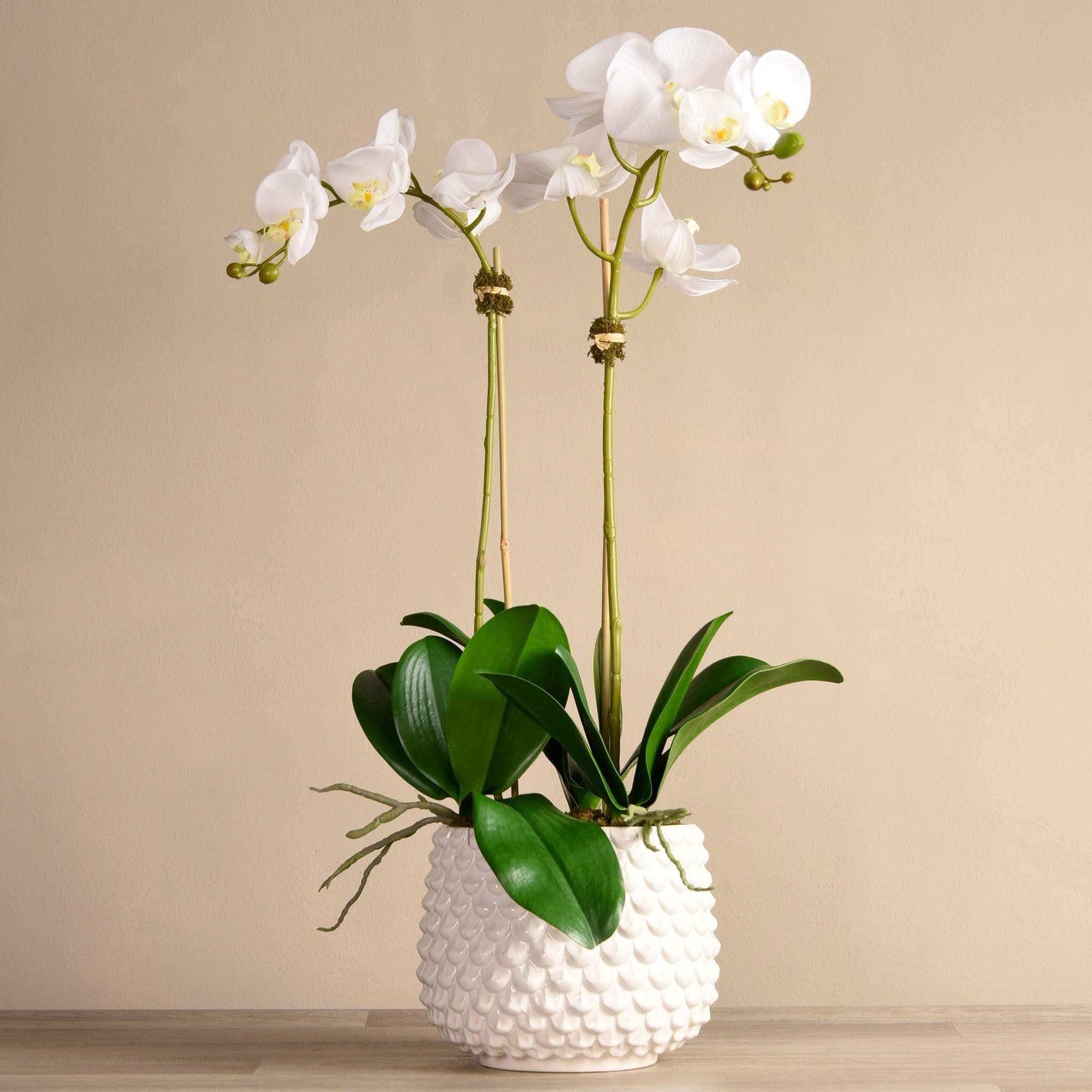 Pearl Orchid Arrangement - Image 4
