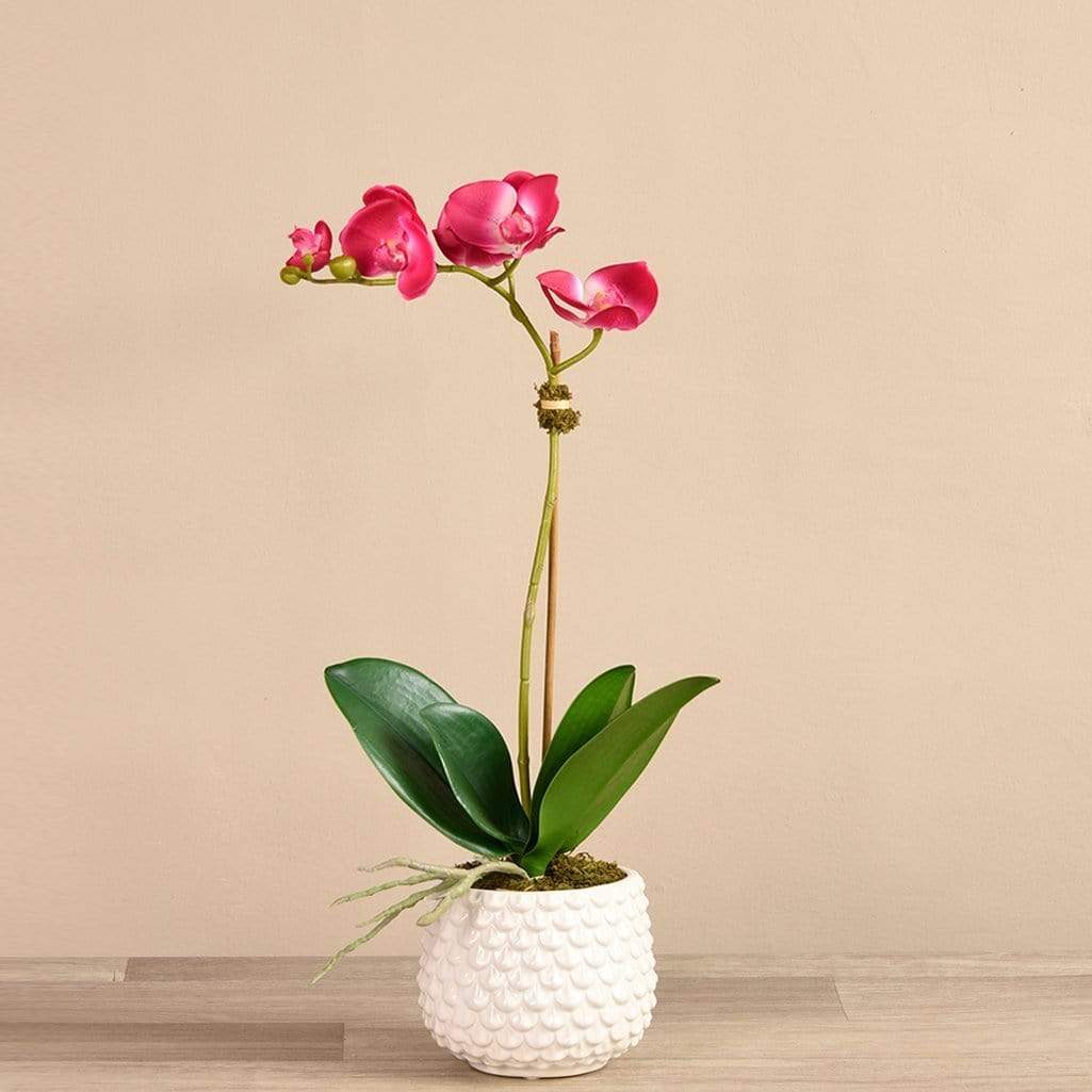 Pearl Orchid Arrangement - Image 5