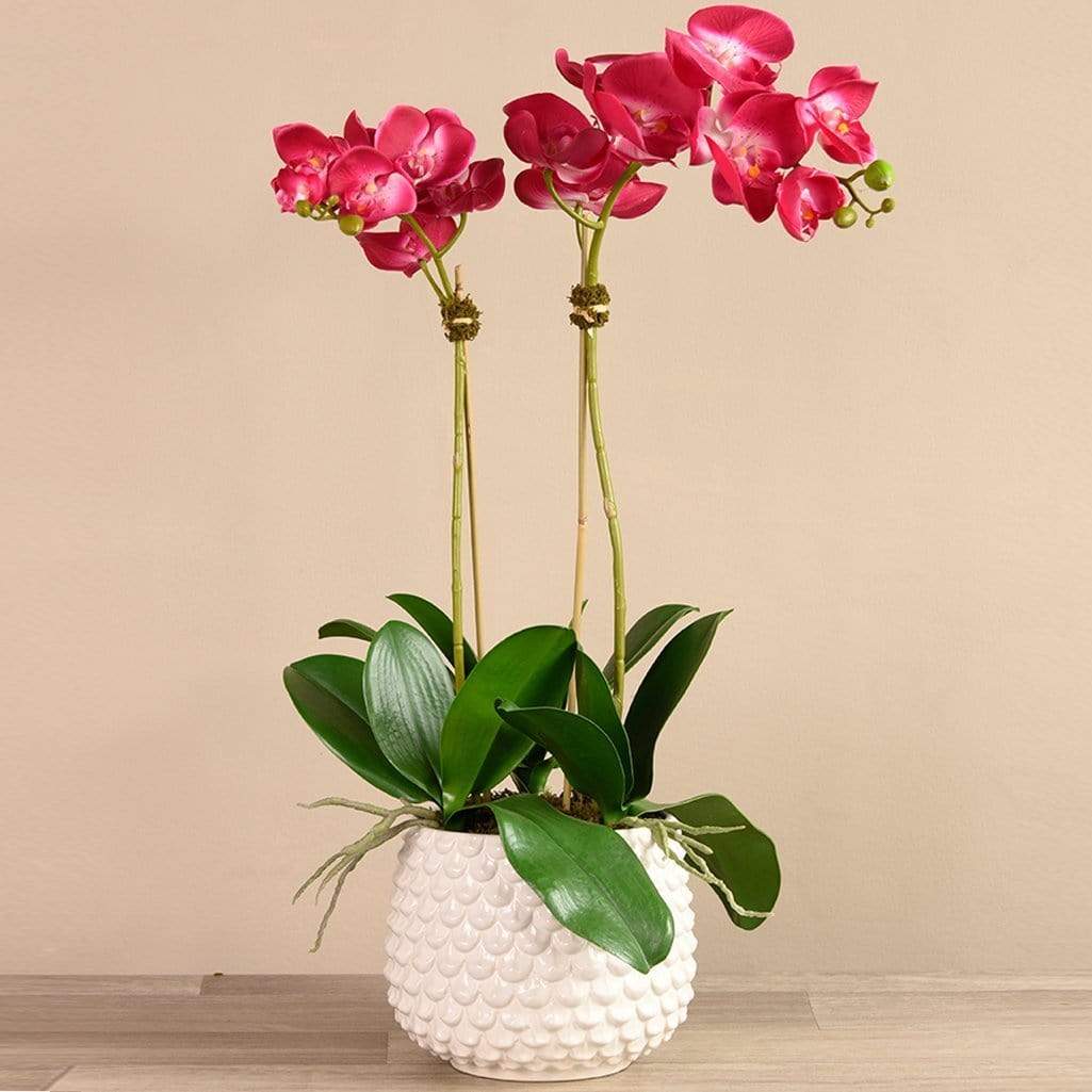 Pearl Orchid Arrangement - Image 7