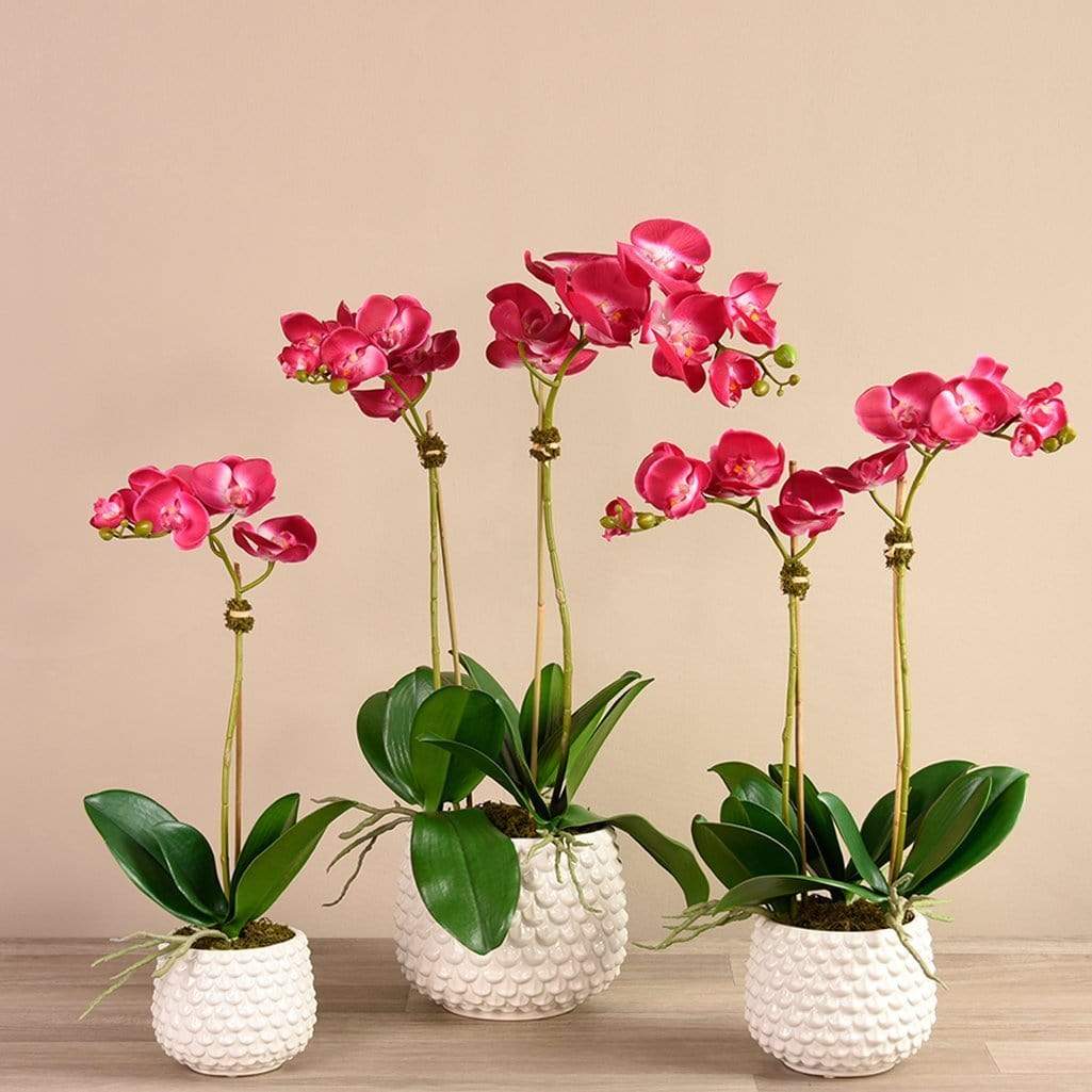 Pearl Orchid Arrangement - Image 8