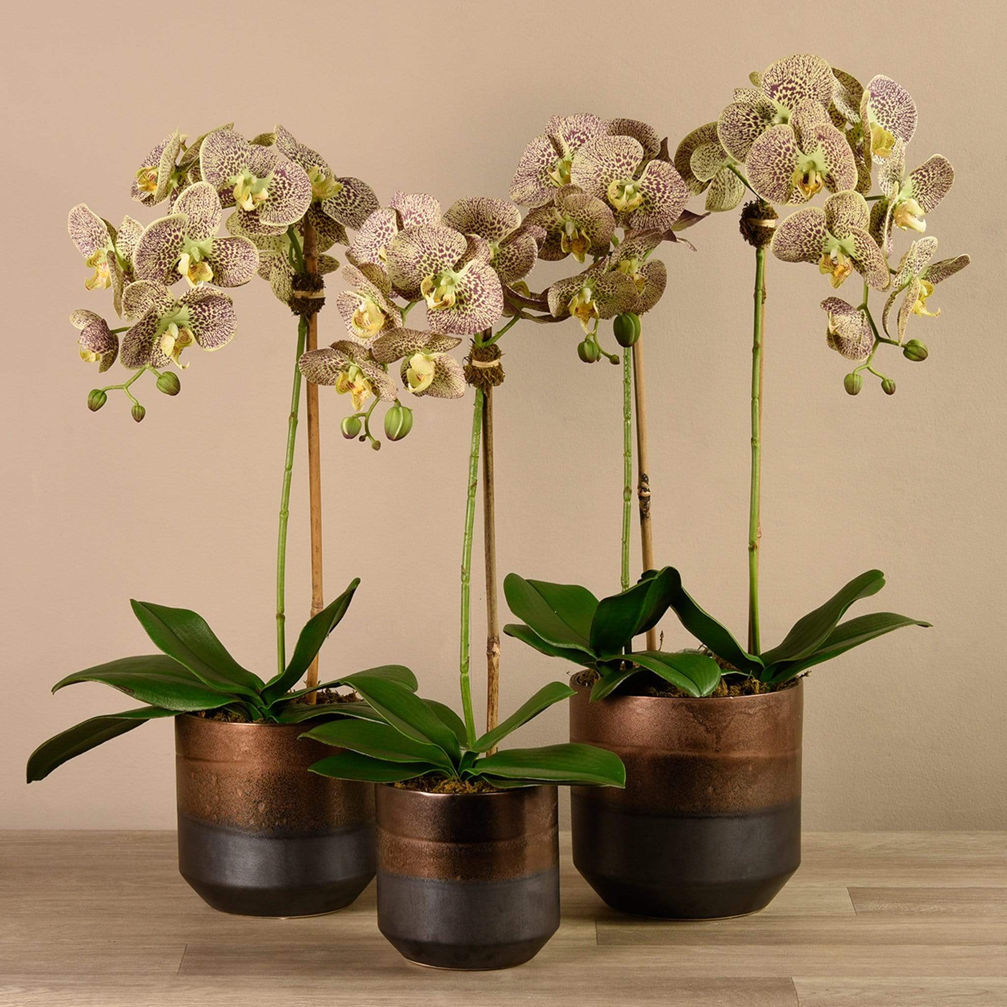 Artificial Orchid Arrangement - Image 17