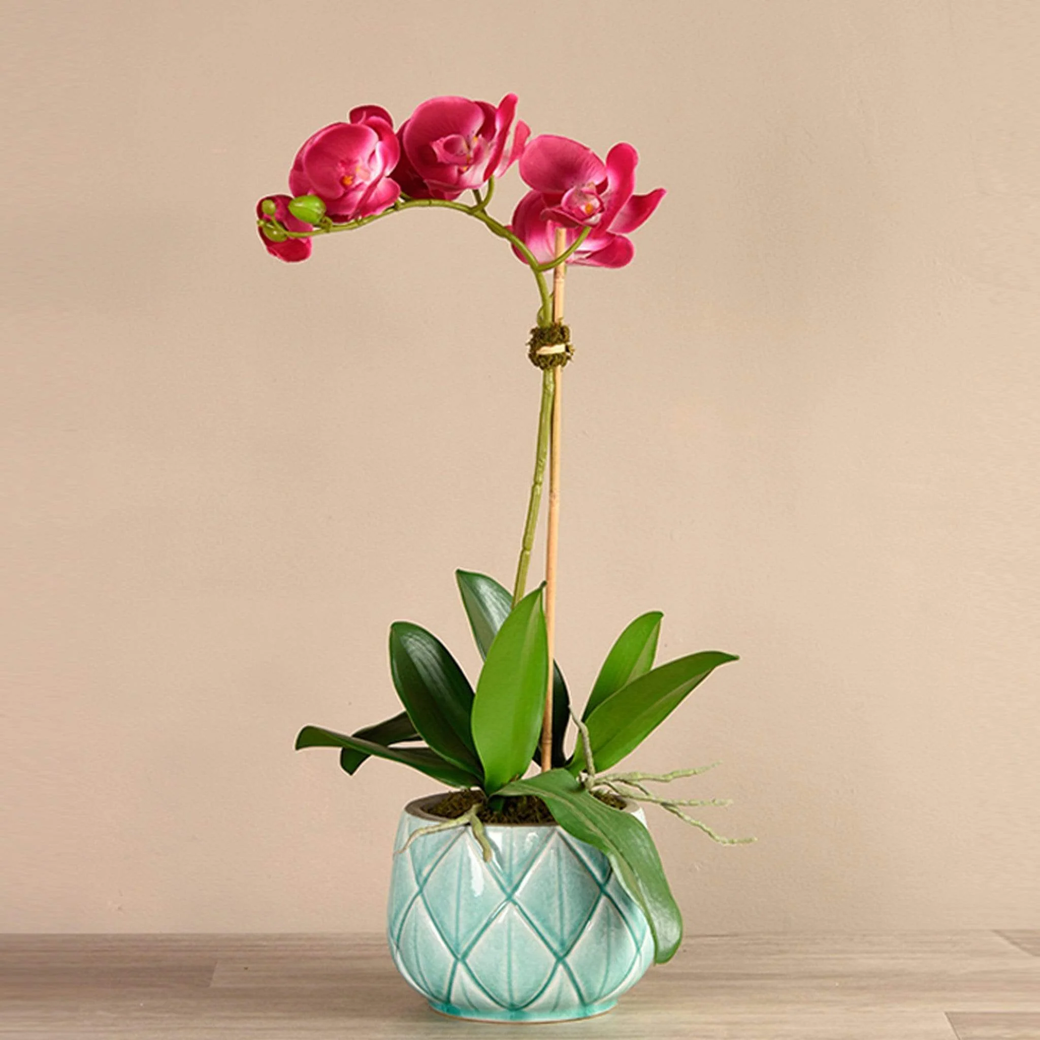 Stella Orchid Arrangement - Image 6