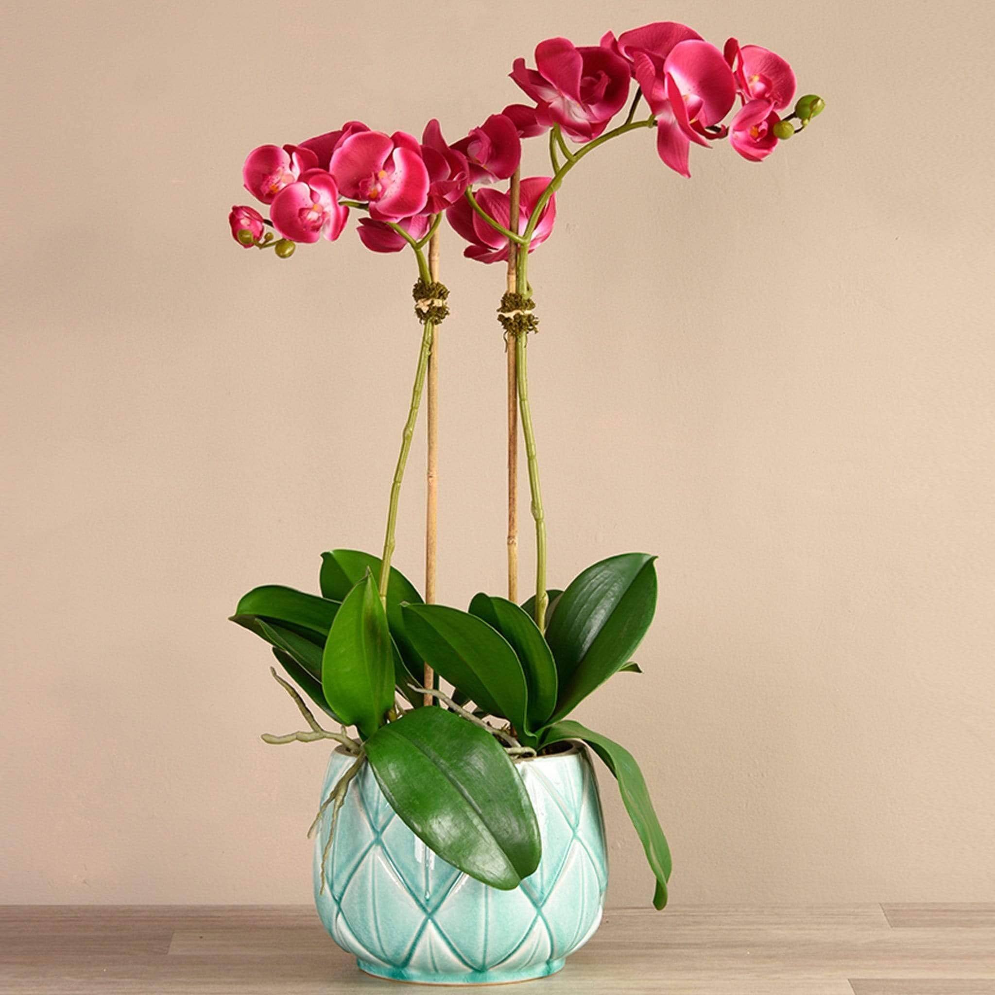 Stella Orchid Arrangement - Image 7