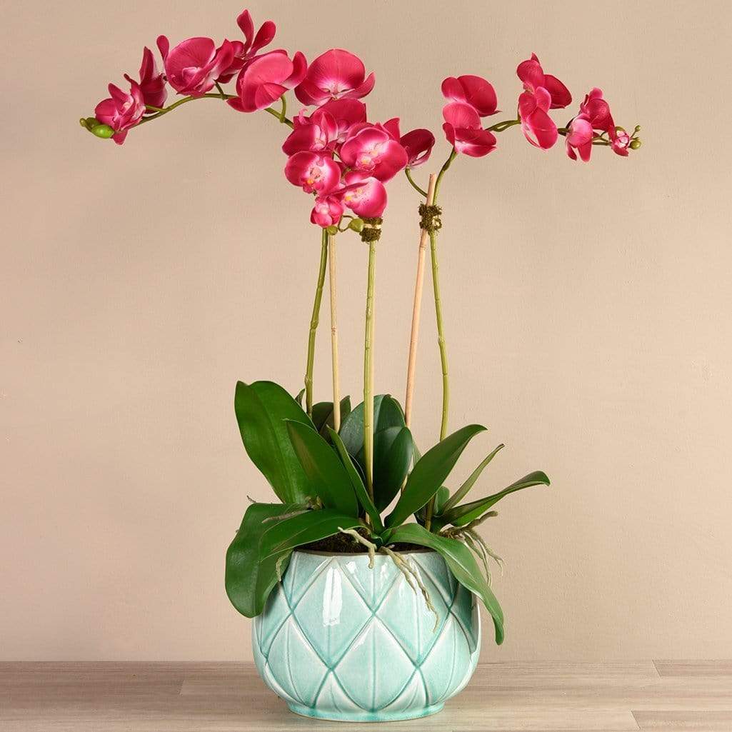 Stella Orchid Arrangement - Image 8
