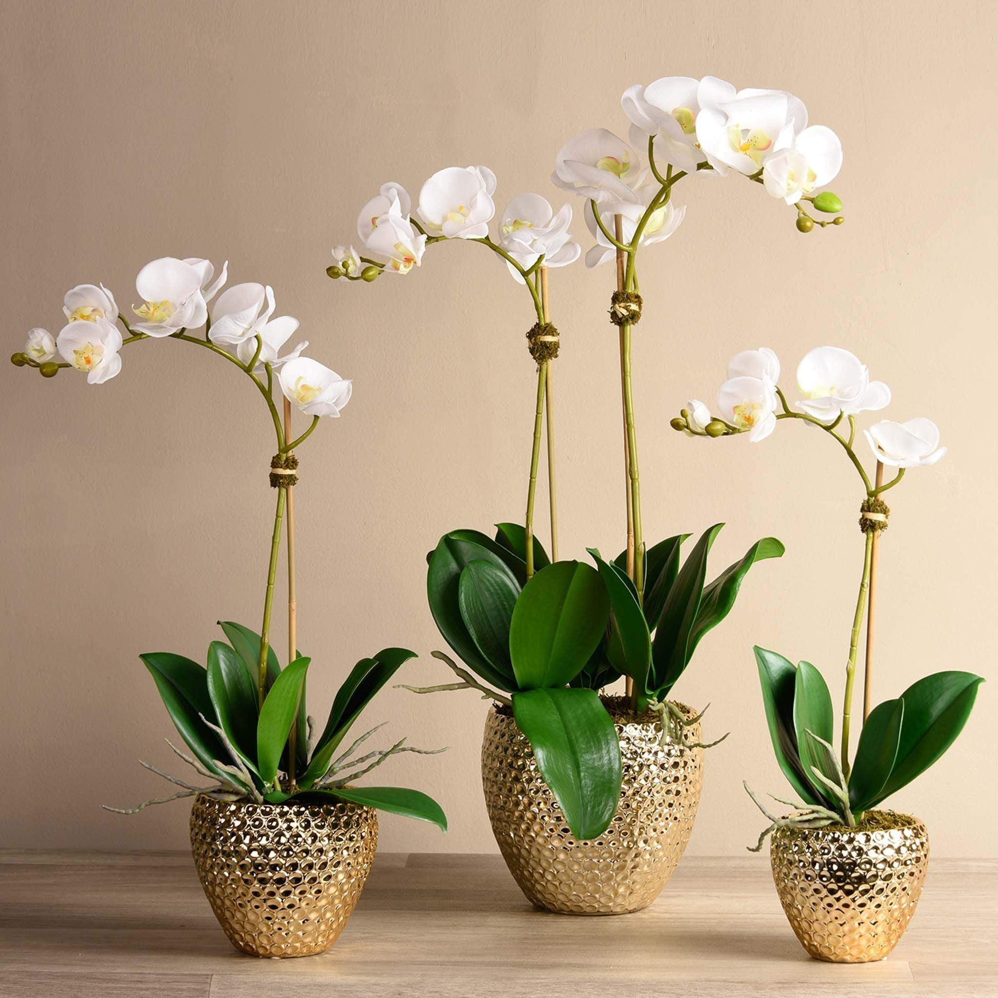 Artificial Orchid Arrangement