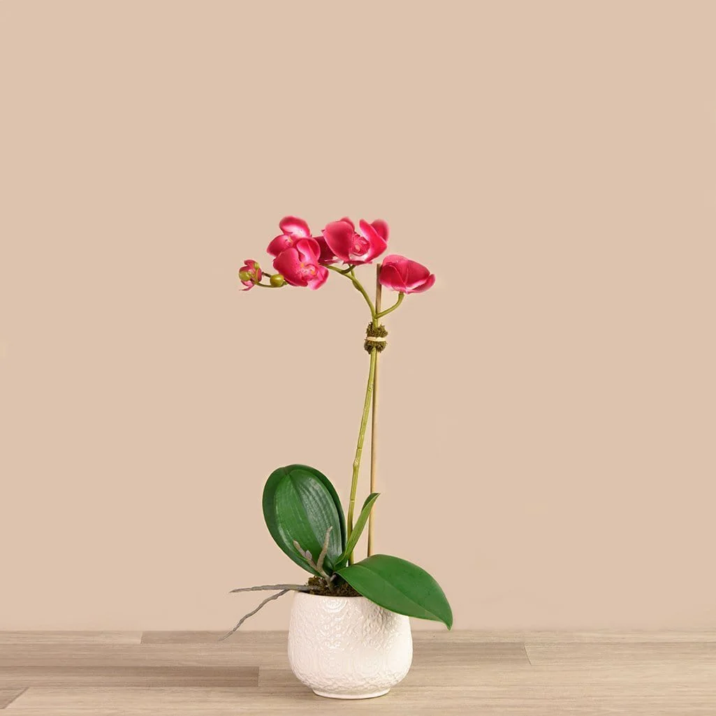 Artificial Orchid Arrangement - Image 5