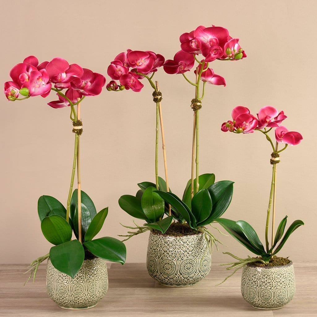 Artificial Orchid Arrangement - Image 2