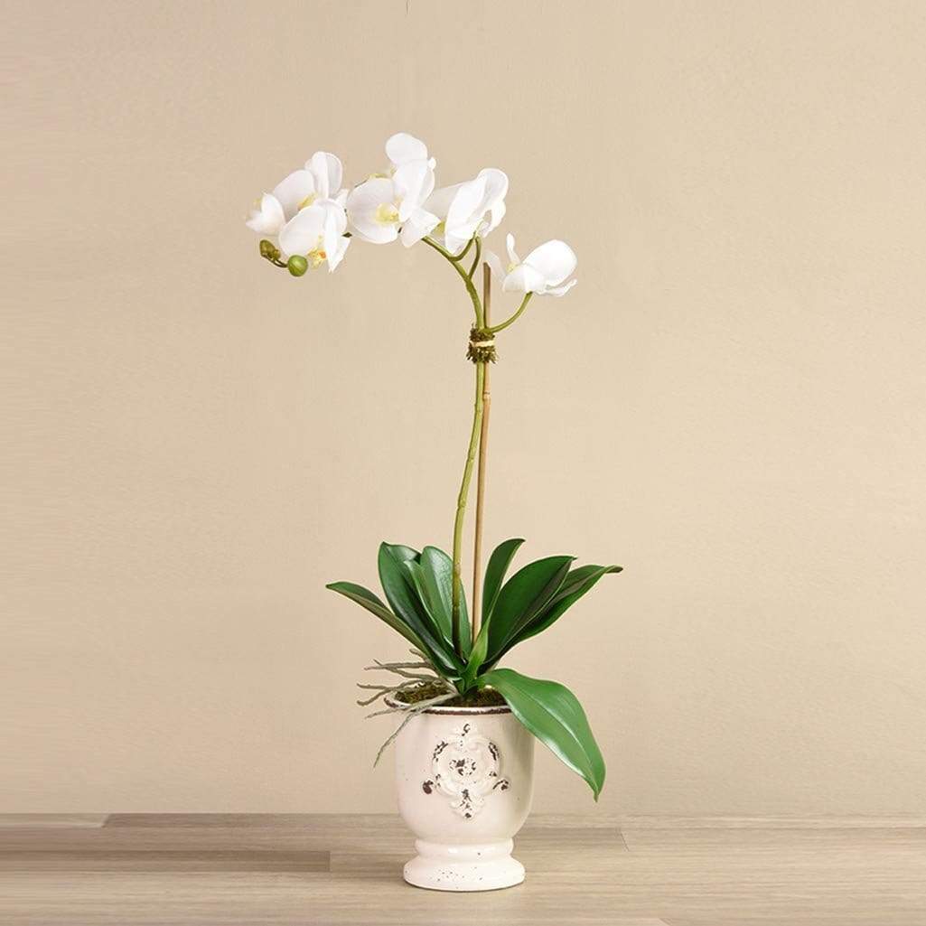 Artificial Orchid Arrangement - Image 2
