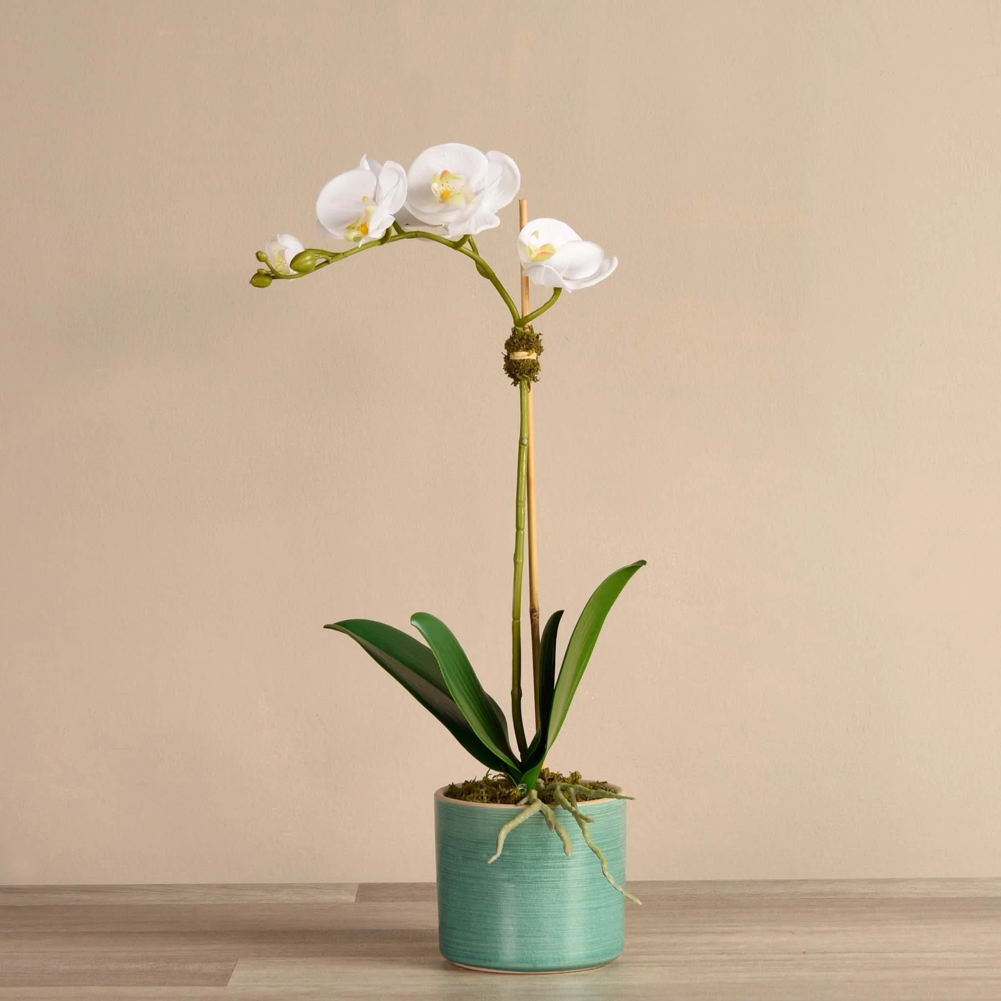 Placid Orchid Arrangement - Image 3