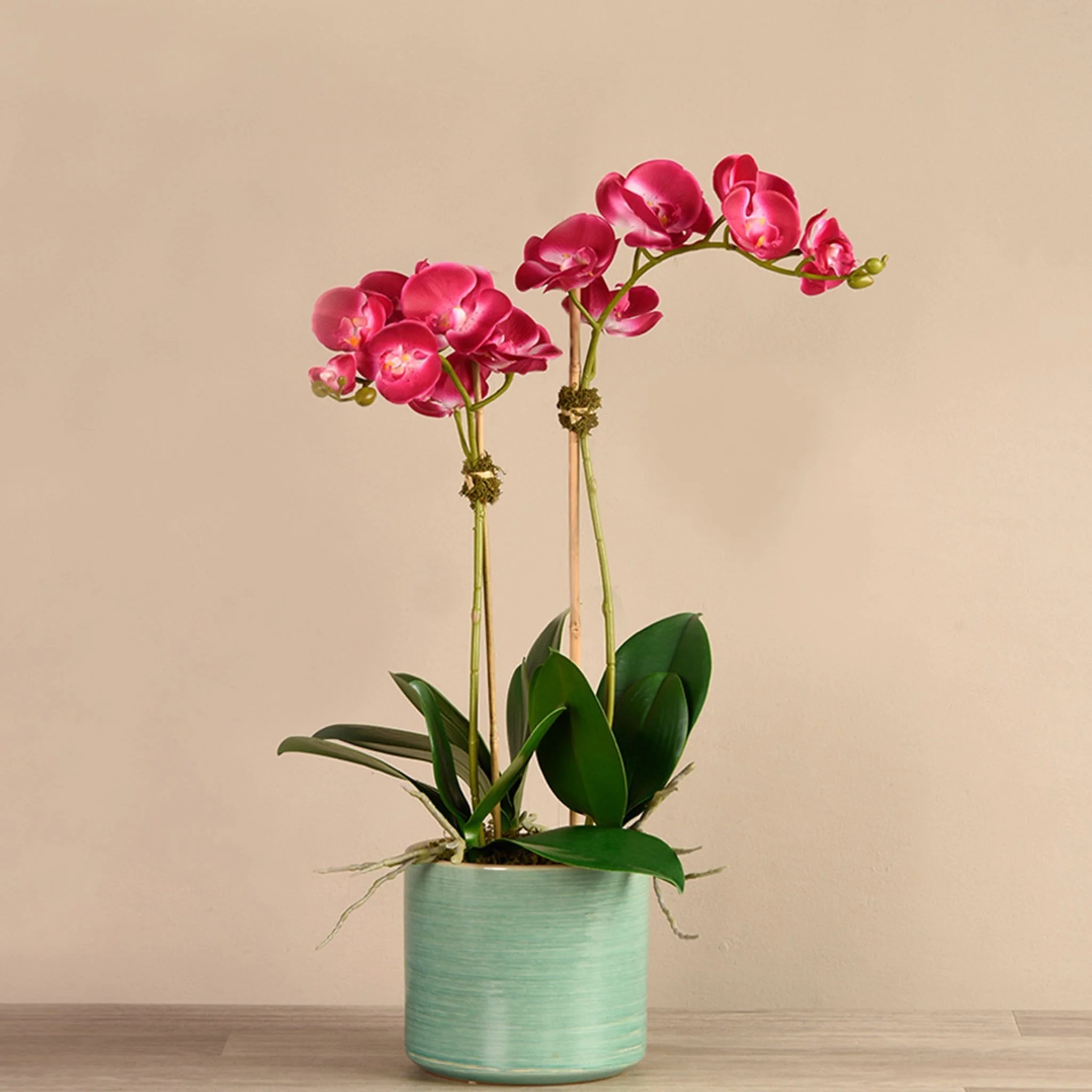Placid Orchid Arrangement - Image 6