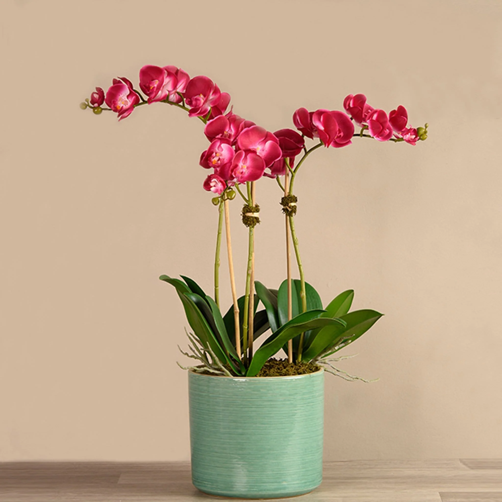 Placid Orchid Arrangement - Image 8