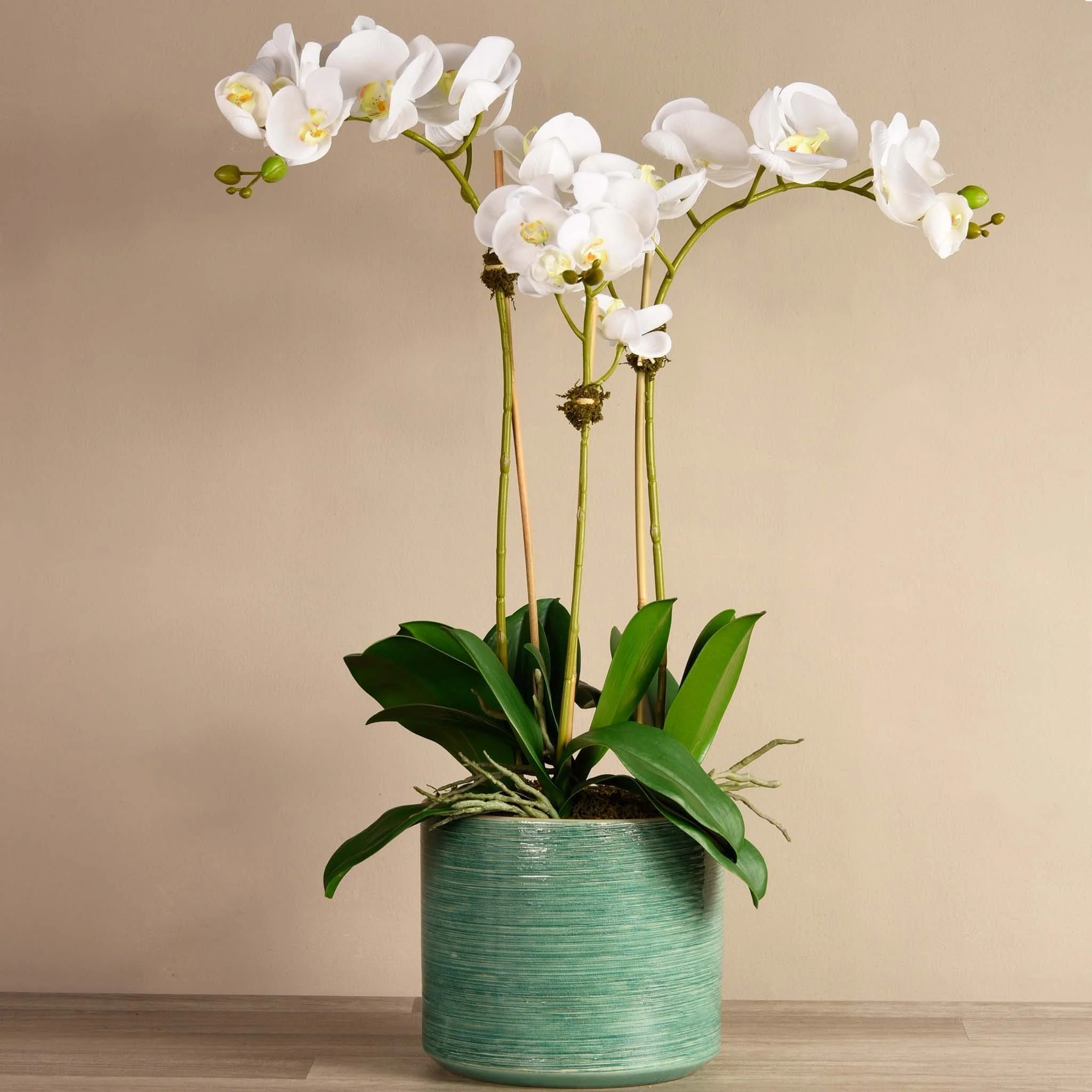 Placid Orchid Arrangement - Image 9