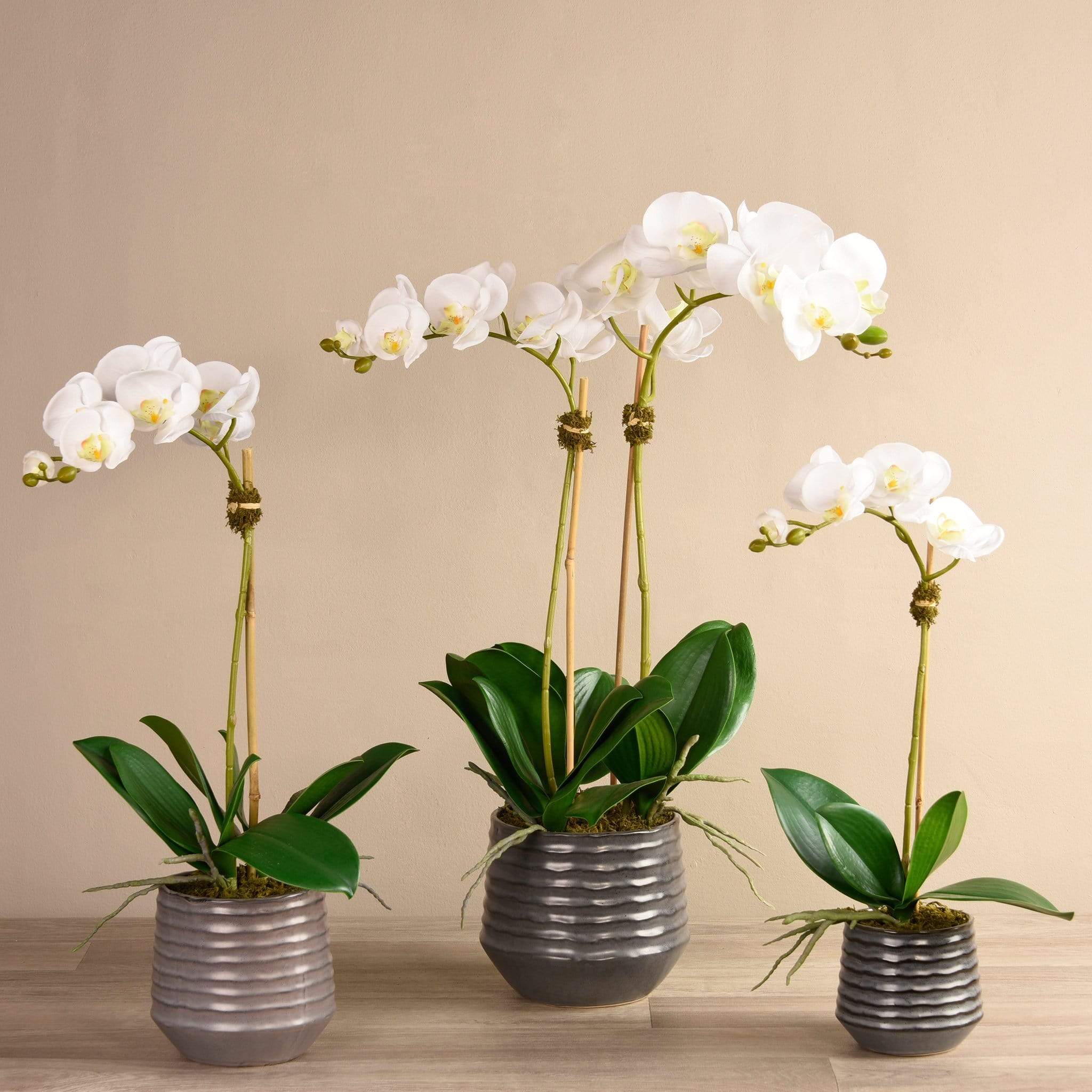 Artificial Orchid Arrangement