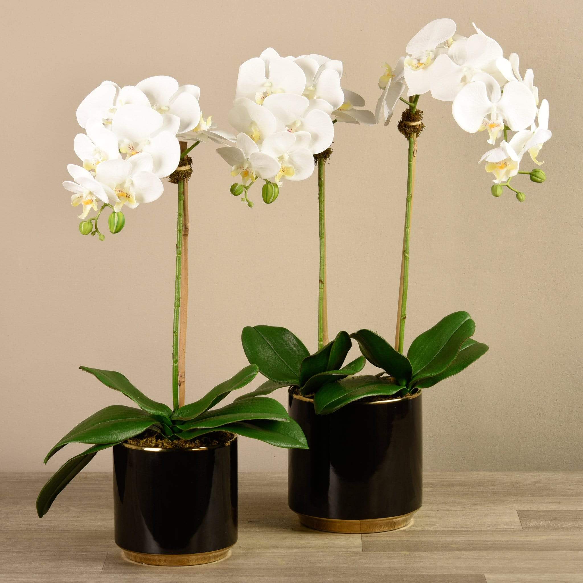 Artificial Orchid Arrangement