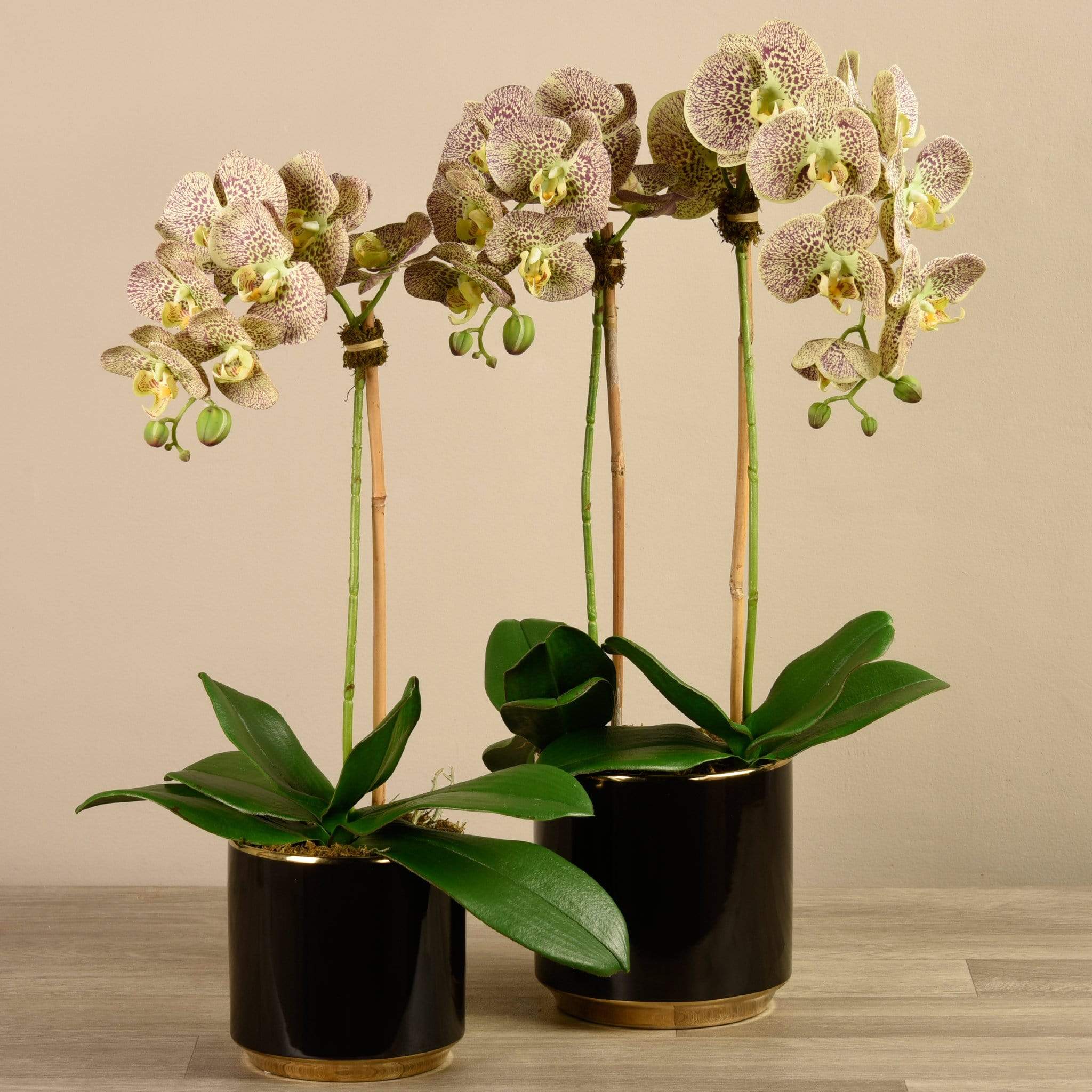 Artificial Orchid Arrangement - Image 13