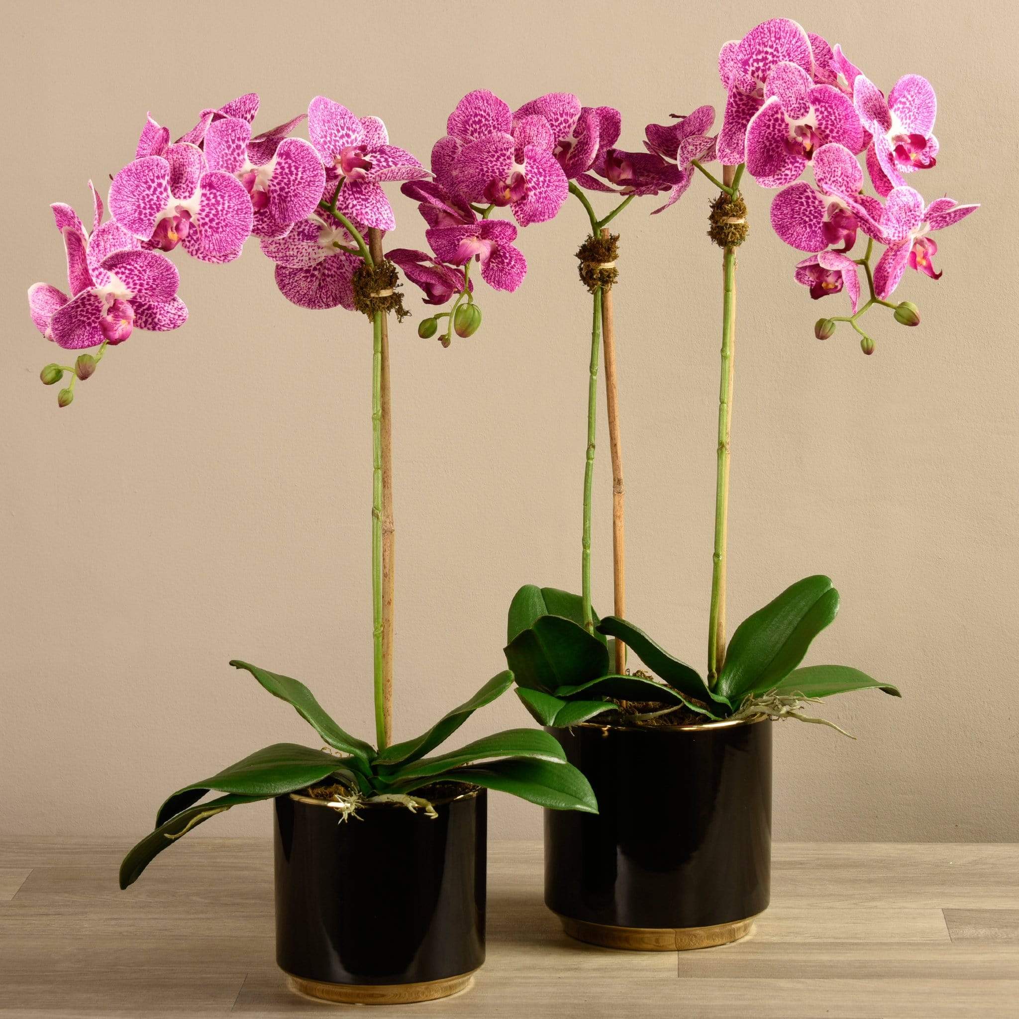 Artificial Orchid Arrangement - Image 7