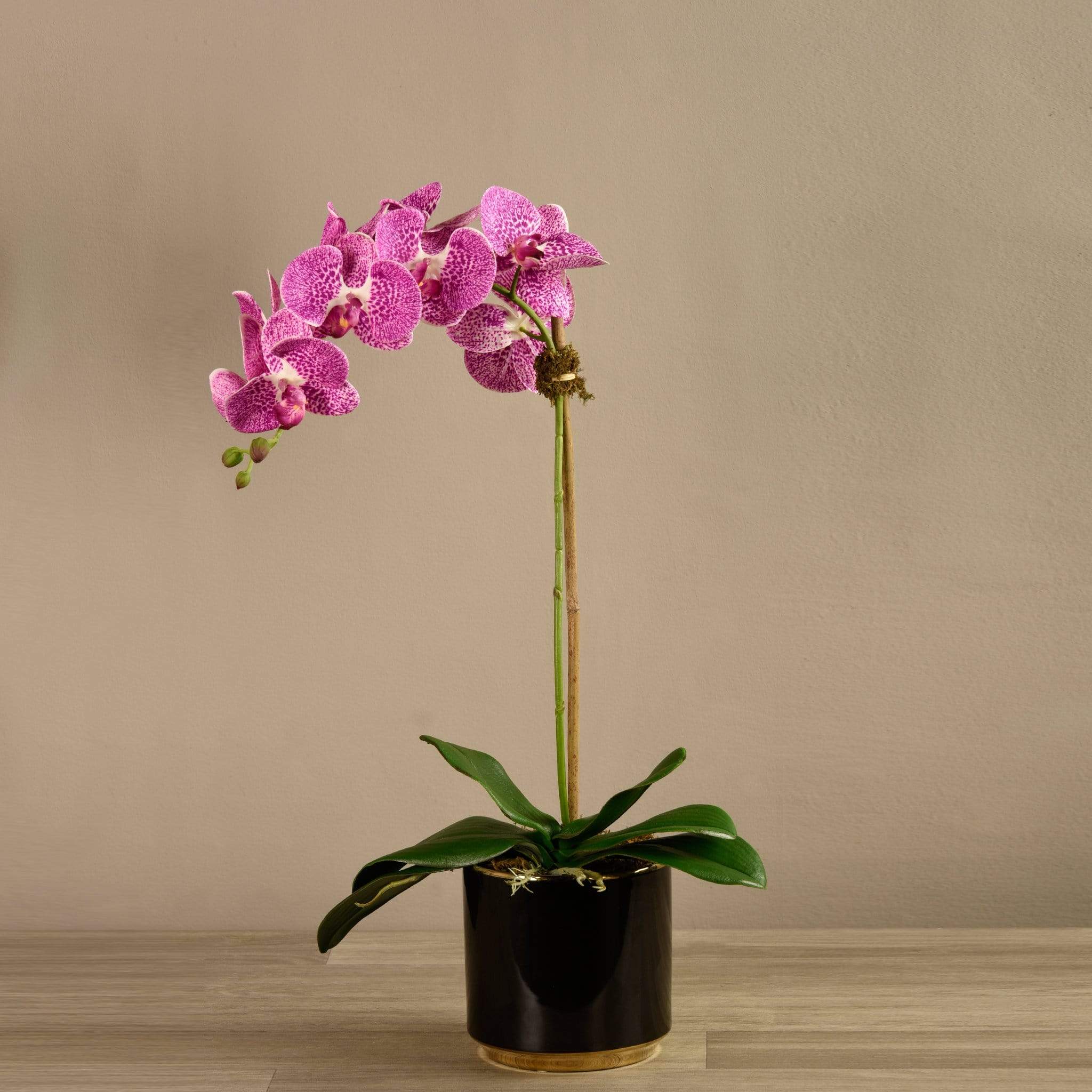 Artificial Orchid Arrangement - Image 8
